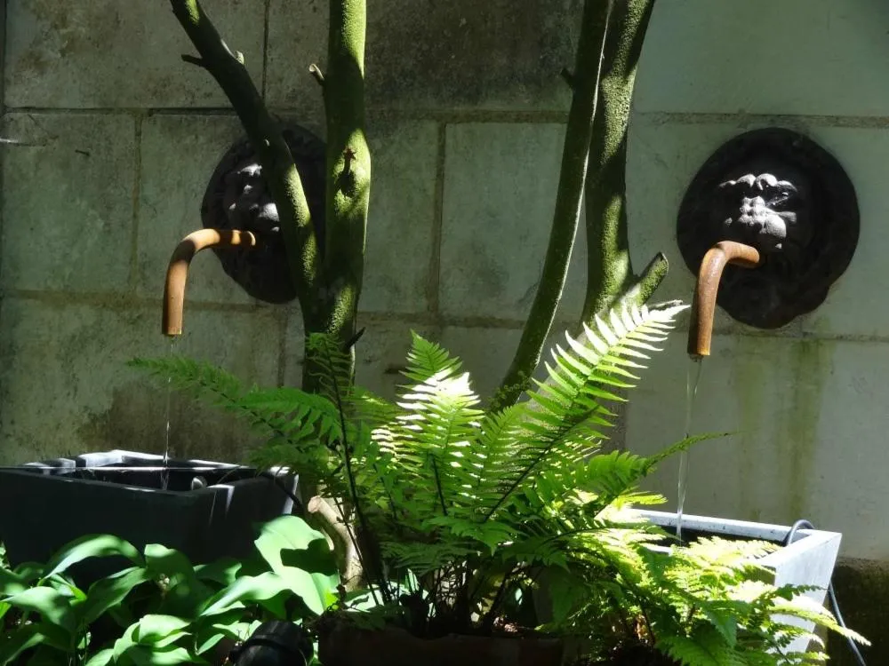 Garden in BULLES DE LOIRE