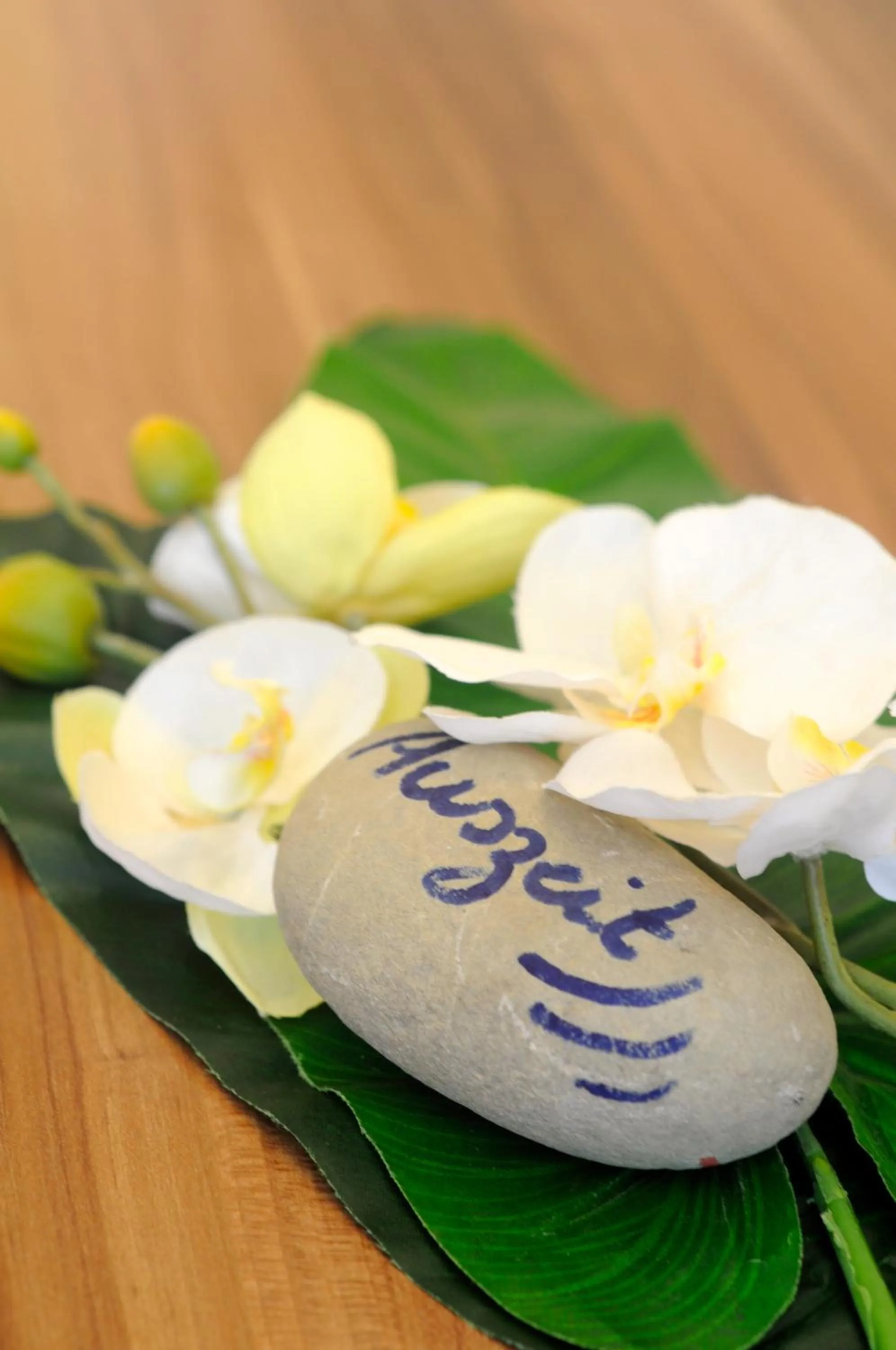 Spa and wellness centre/facilities in Seehotel OFF