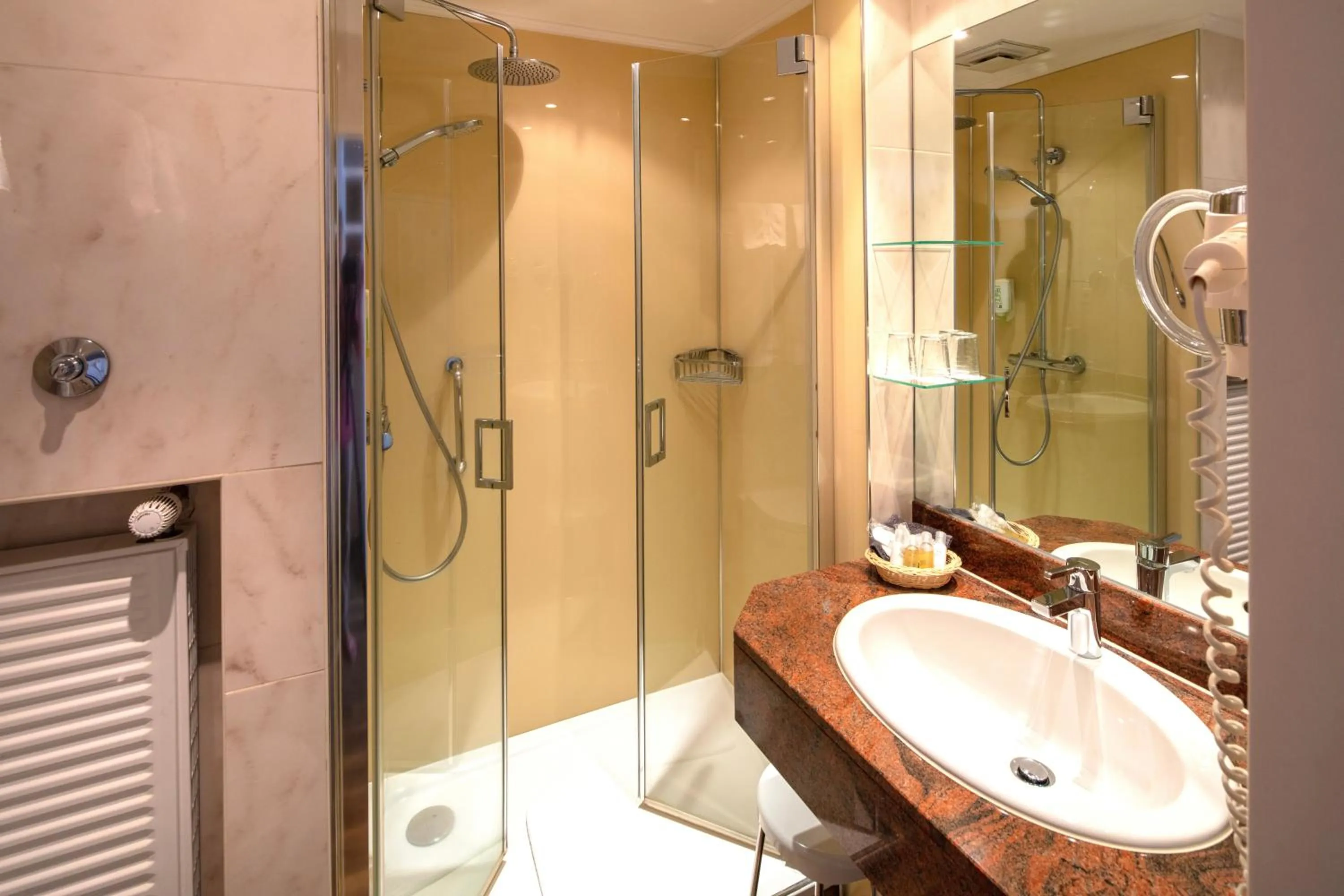 Shower in Hotel Braunschweiger Hof