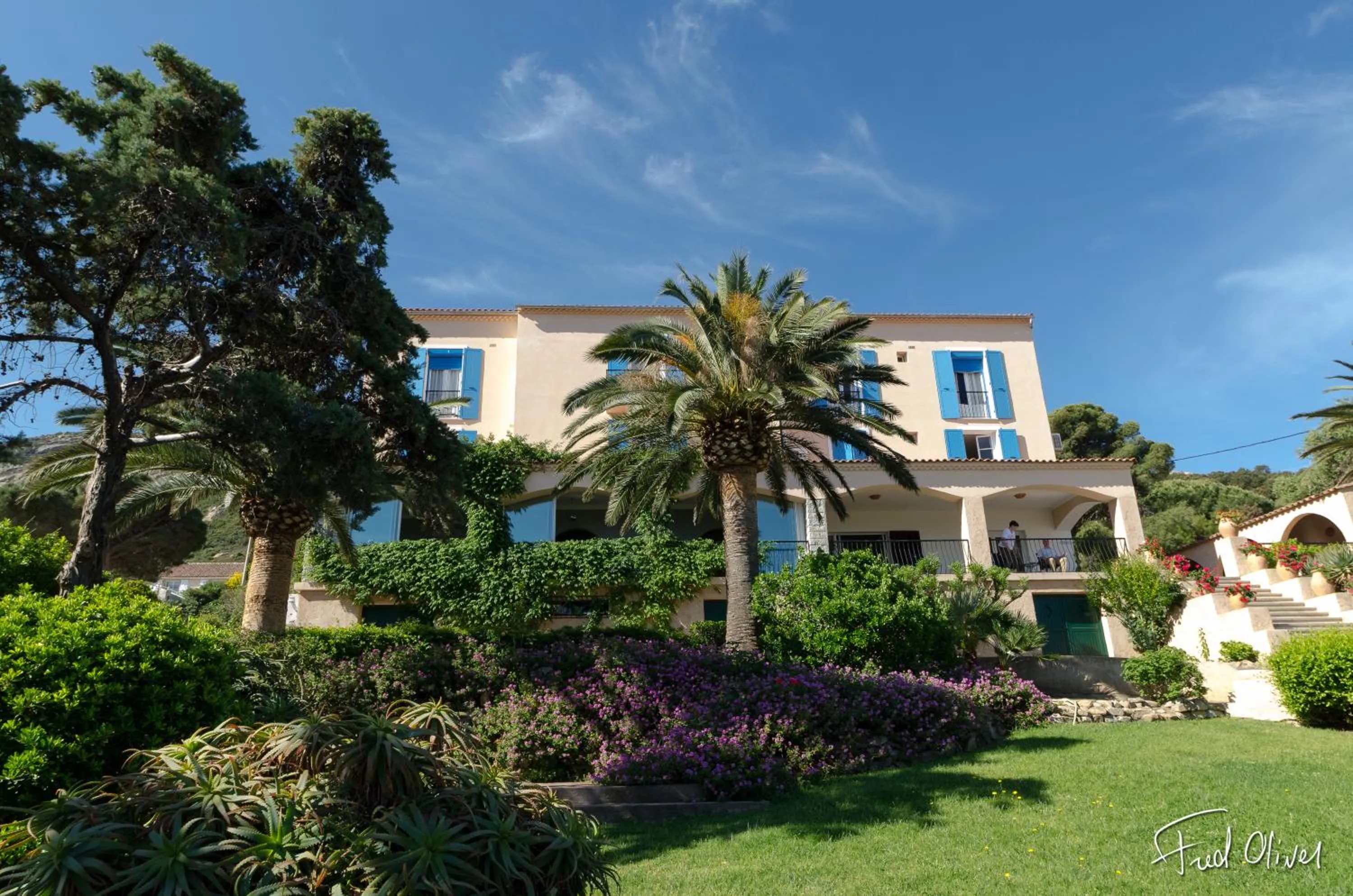 Garden in STELLA MARE