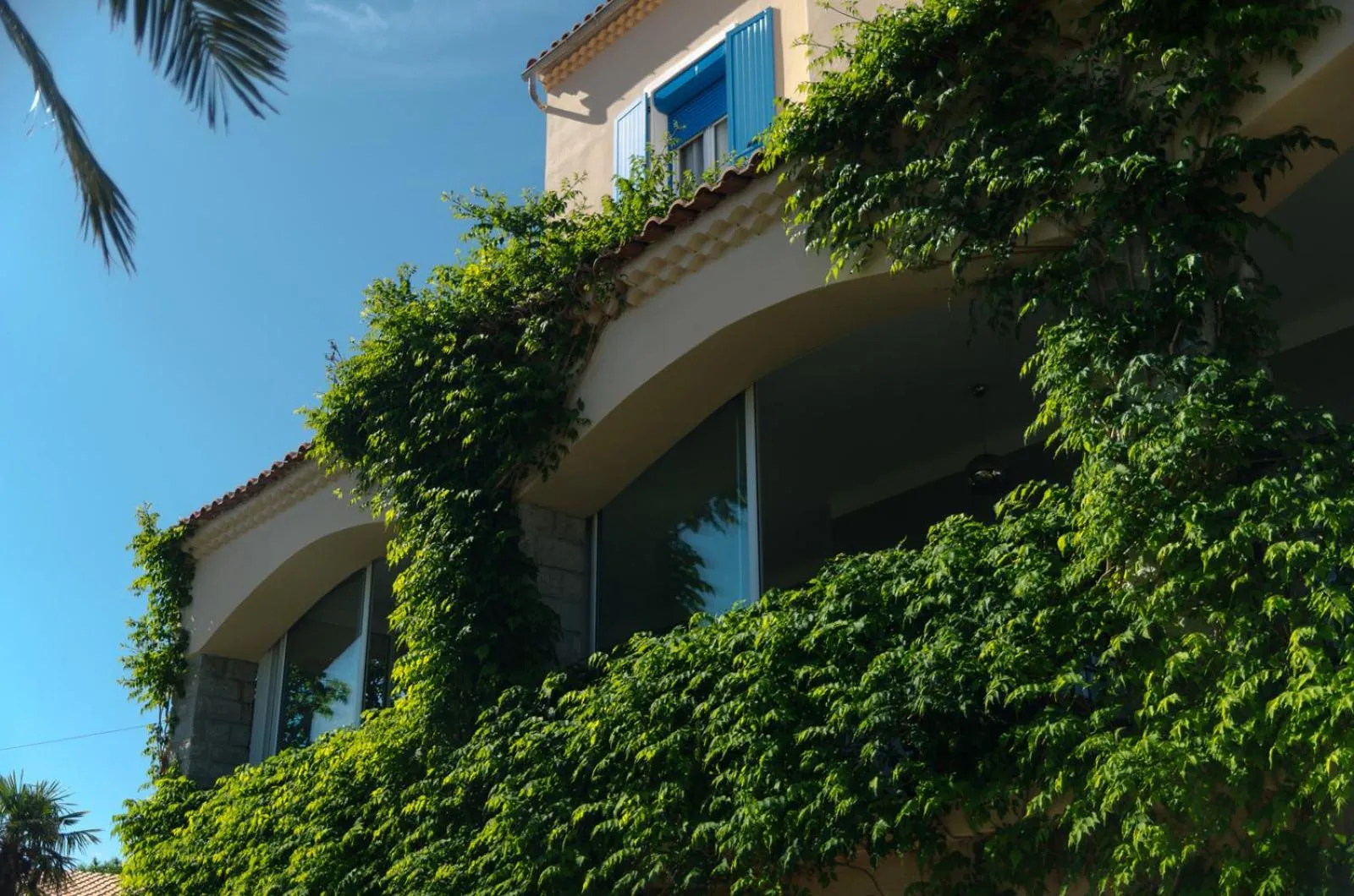 Facade/entrance in STELLA MARE