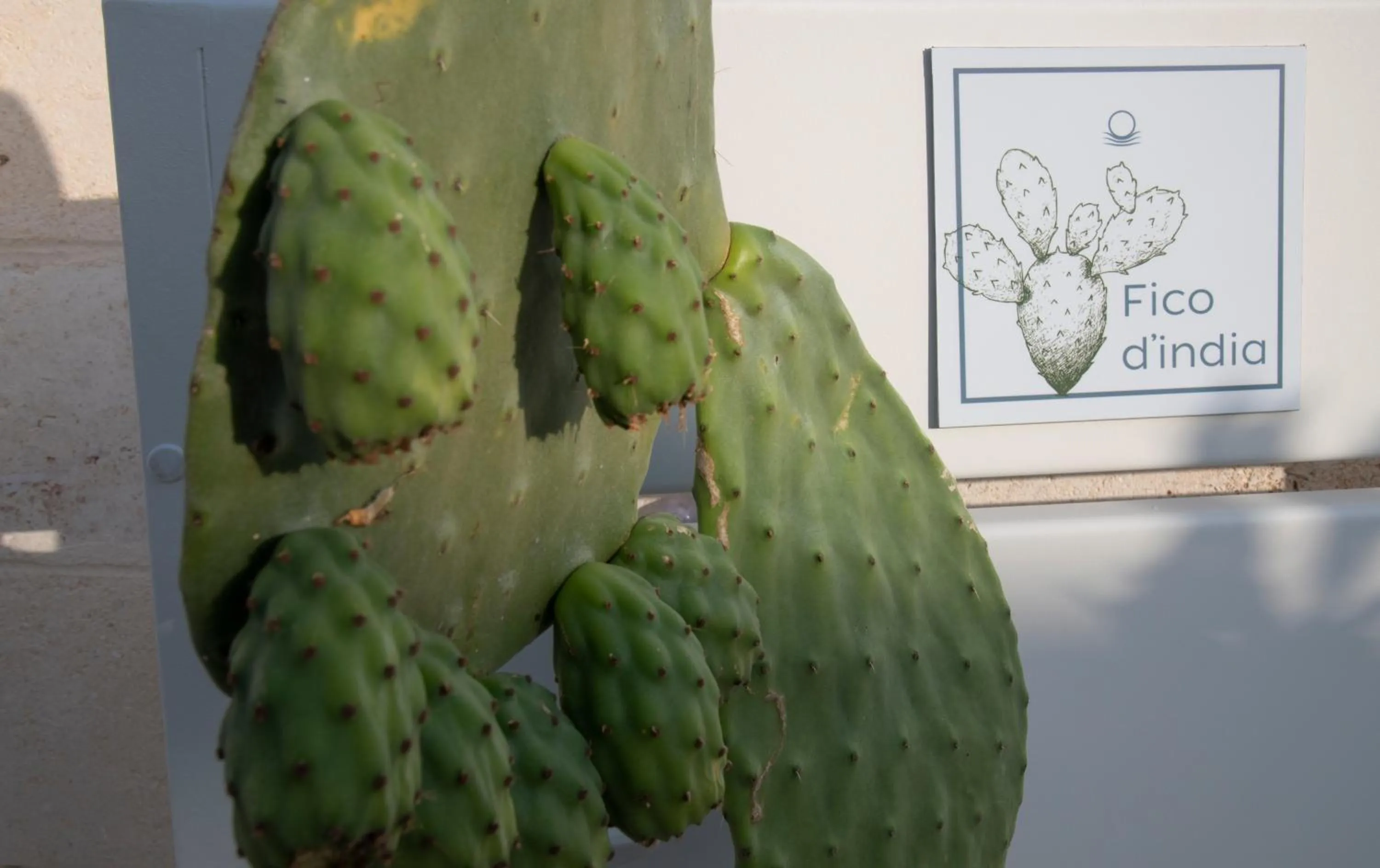 Facade/entrance in Livantea Agriresort e Residence