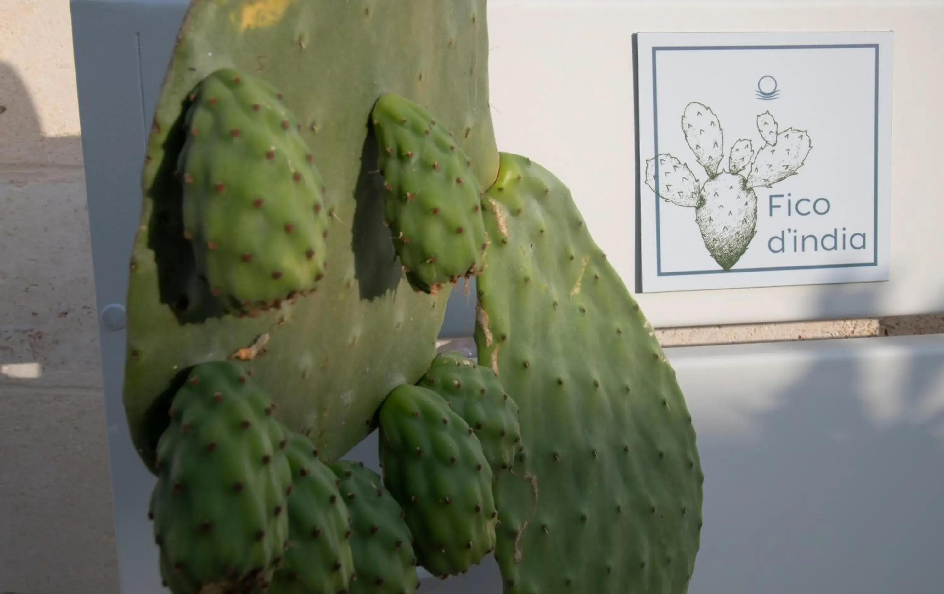 Facade/entrance in Livantea Agriresort e Residence Facade/entrance in Livantea Agriresort e Residence