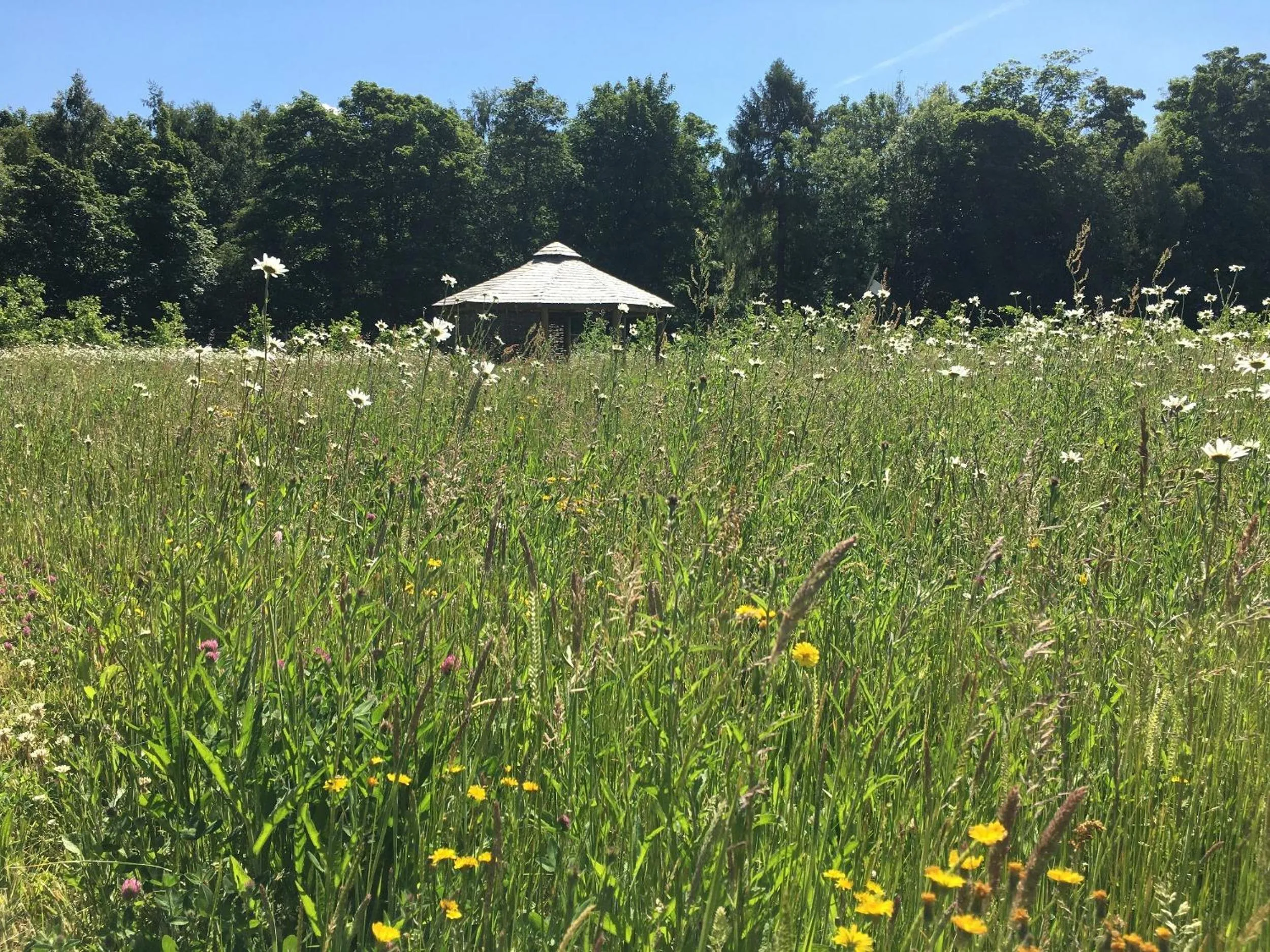 Property building in Hollicarrs - Dragonfly Lodge