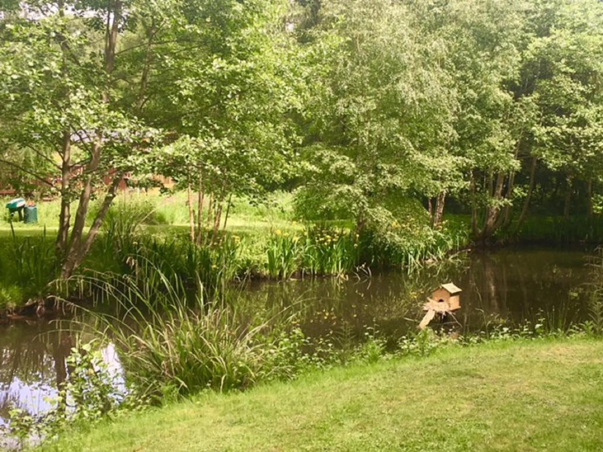 Natural landscape in Hollicarrs - Dragonfly Lodge