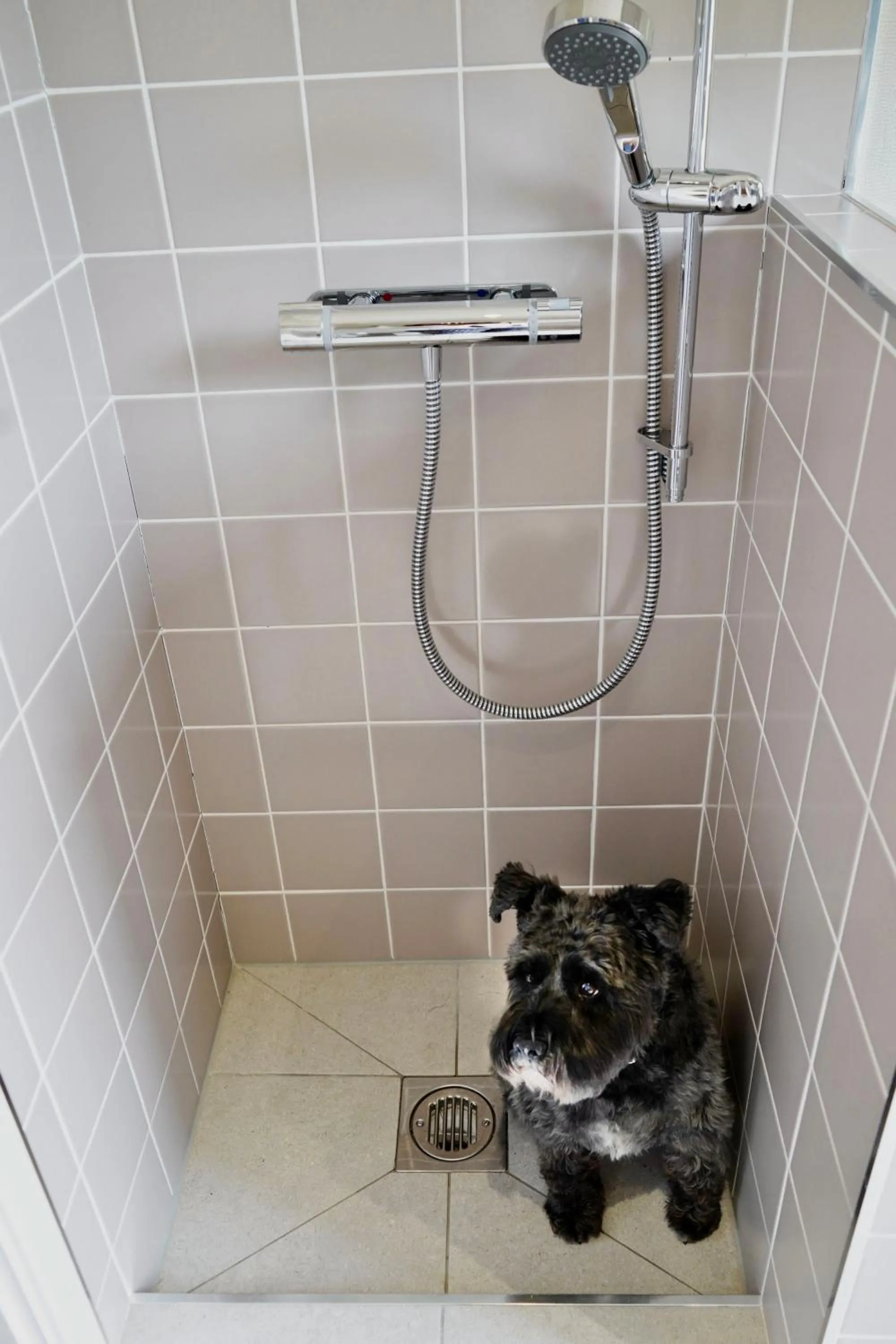 Lobby or reception in Hollicarrs - Dragonfly Lodge