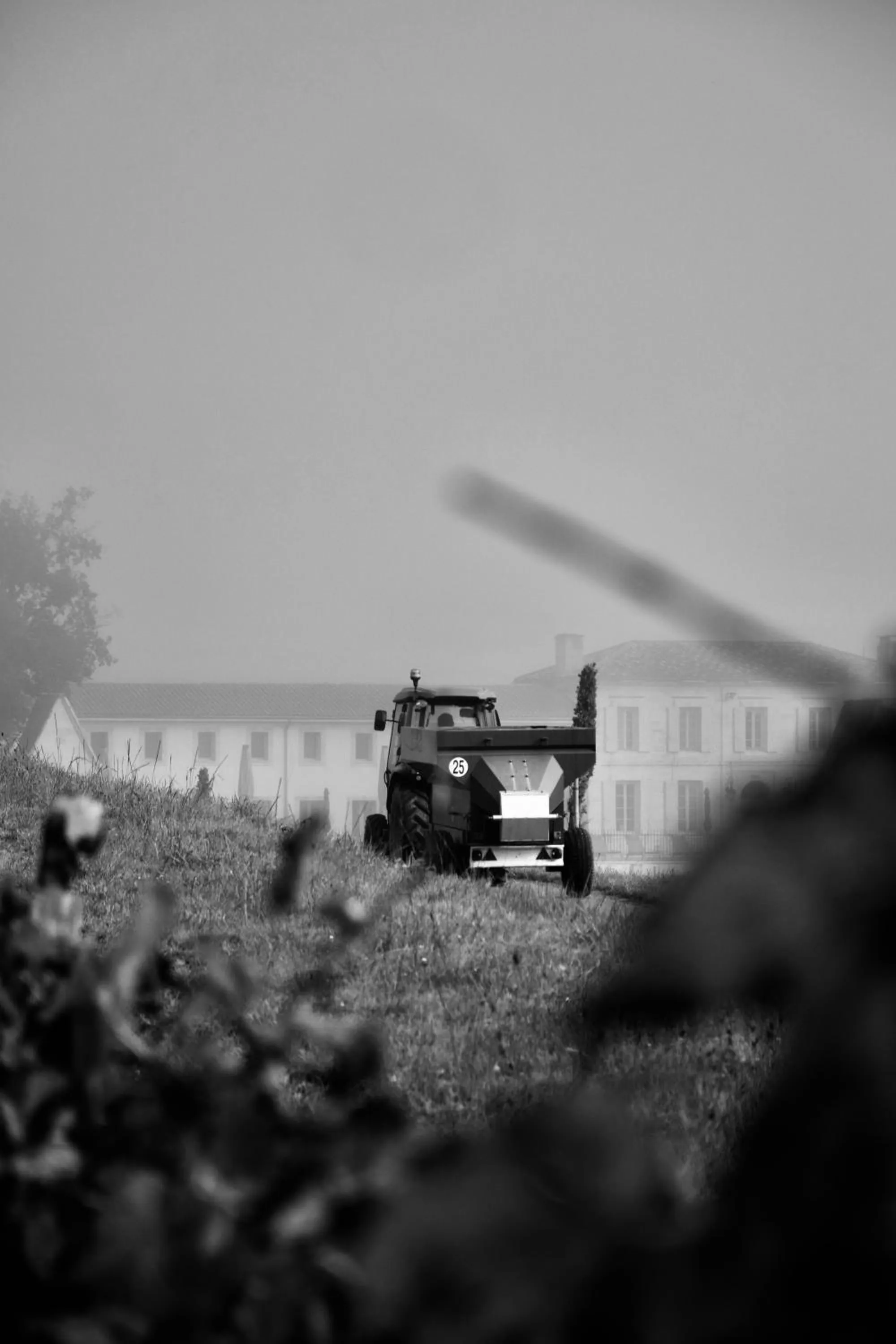 Autumn in Château Fage La Maison des Vignes - Saint-Émilion