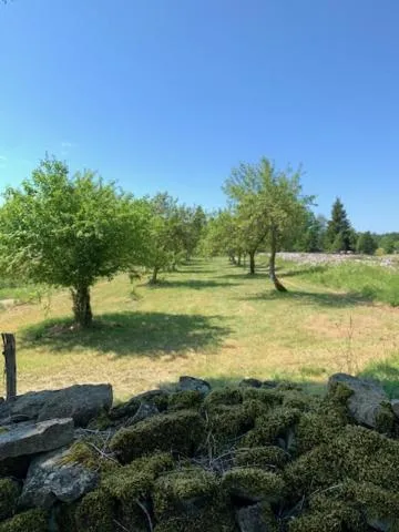 Garden in Pilguse Residency