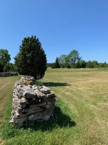 Garden in Pilguse Residency