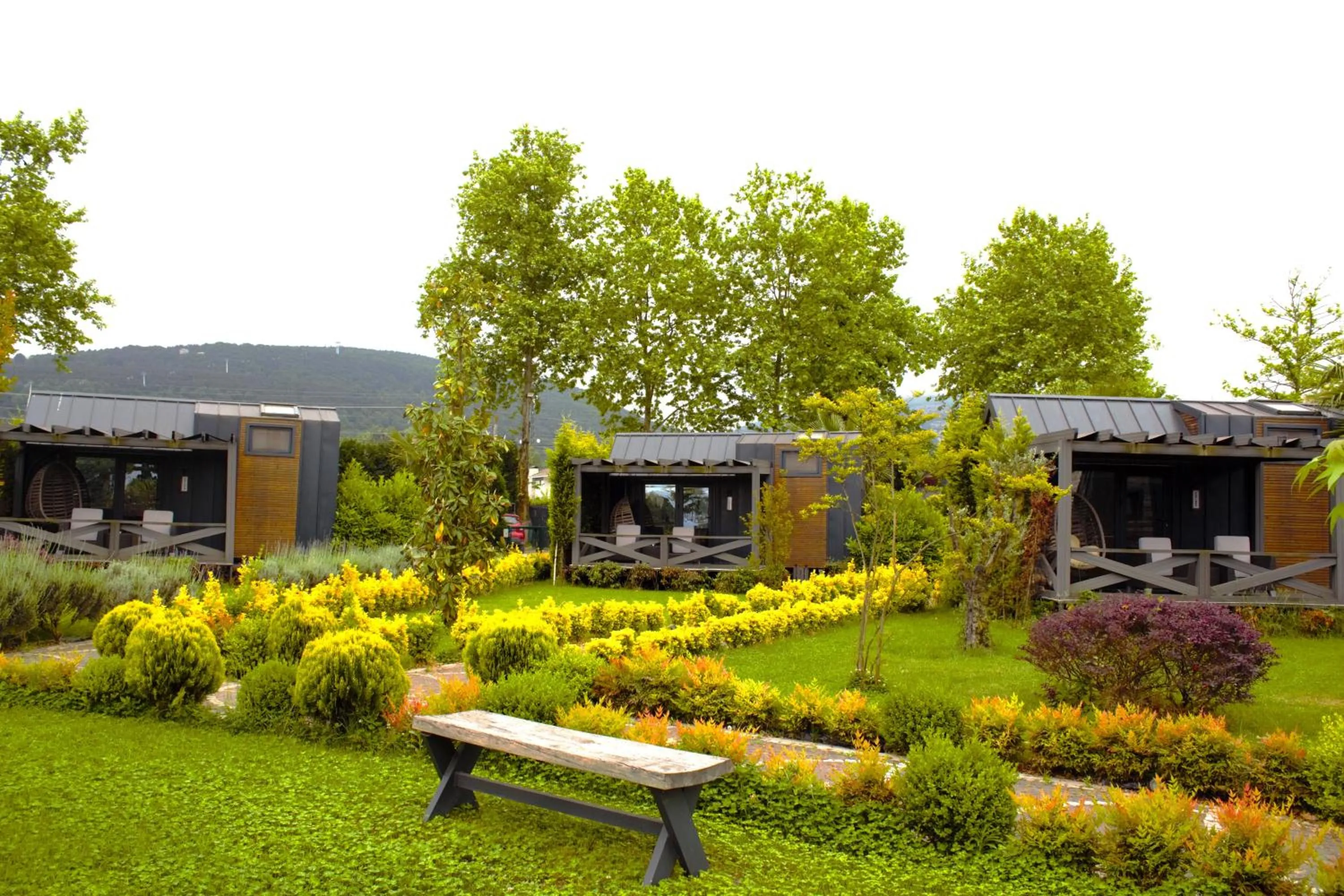 Photo of the whole room in Gölevi Resort Sapanca