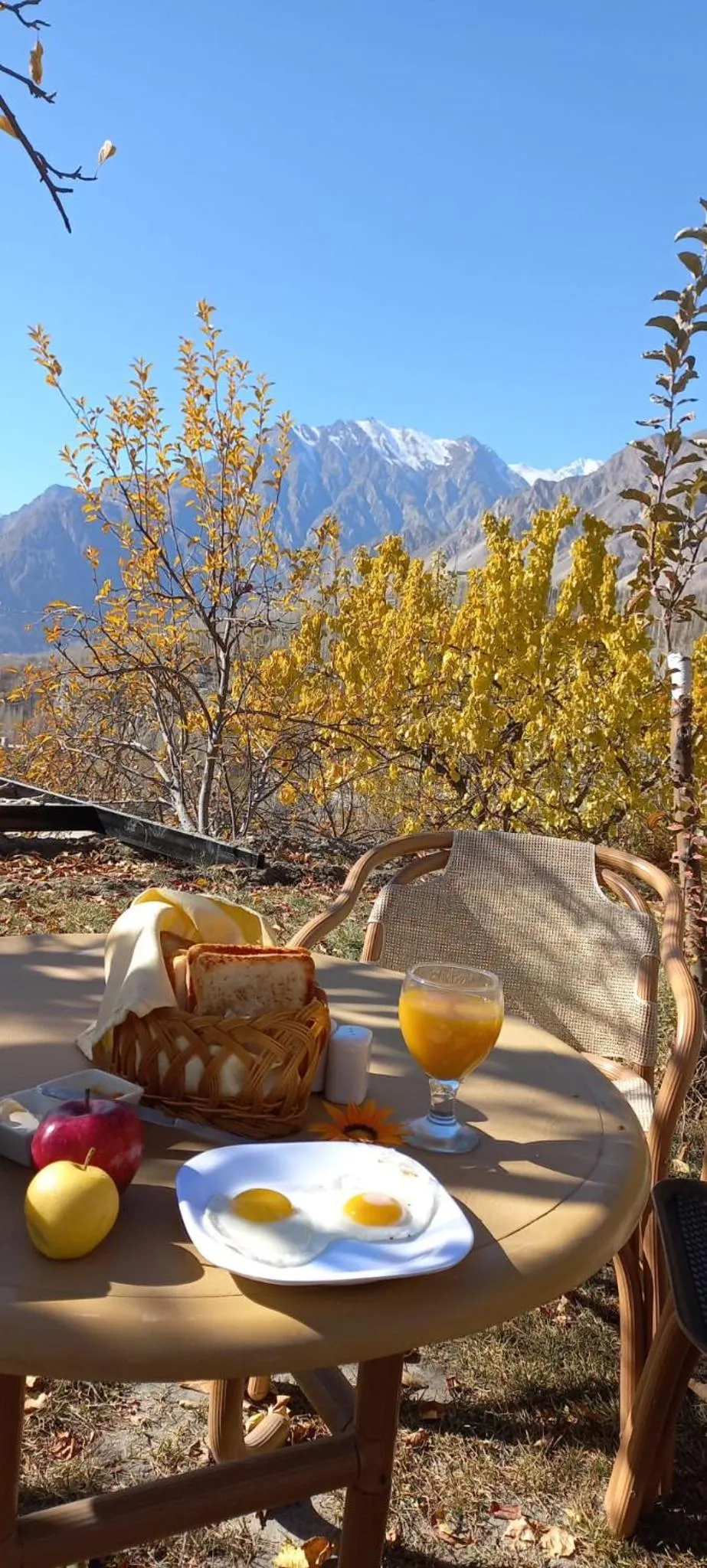 Day in Grapes Garden Resort Hunza