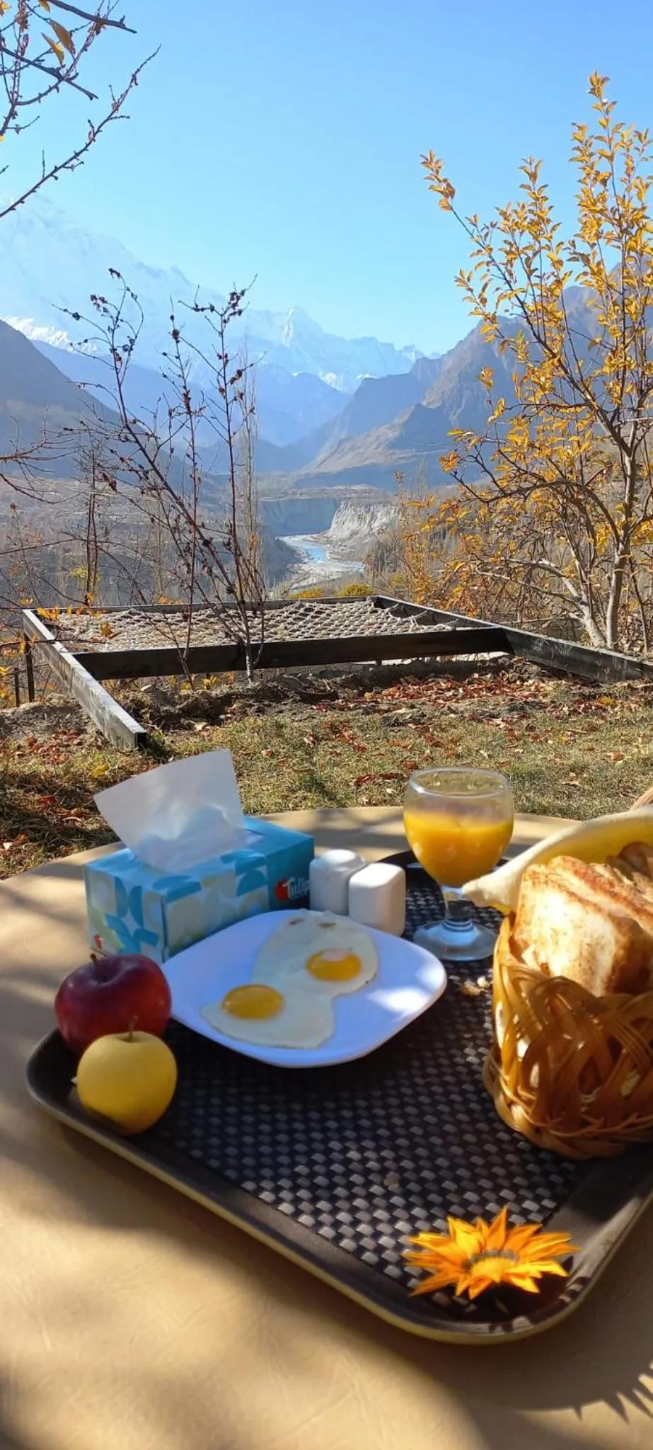 Day in Grapes Garden Resort Hunza