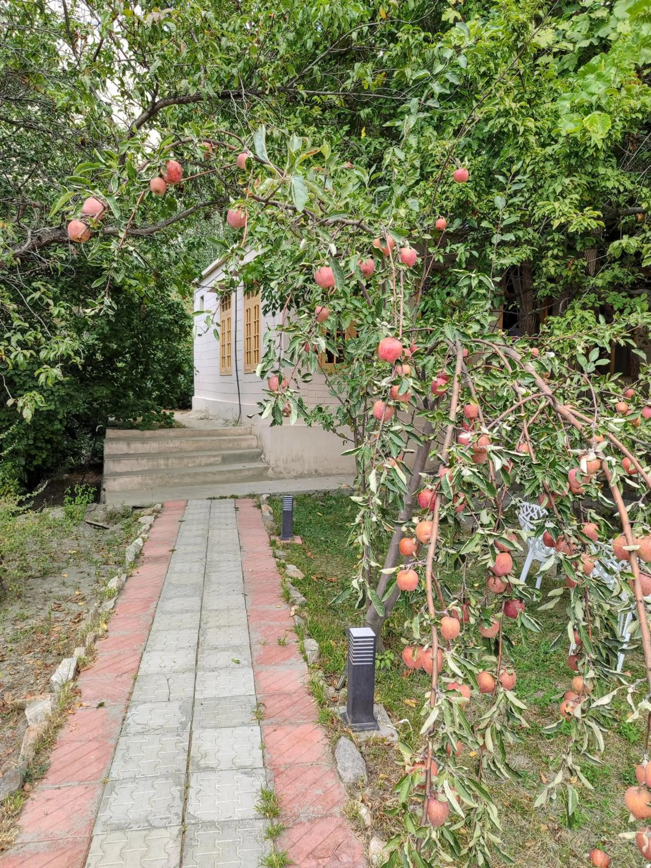 Property building in Grapes Garden Resort Hunza