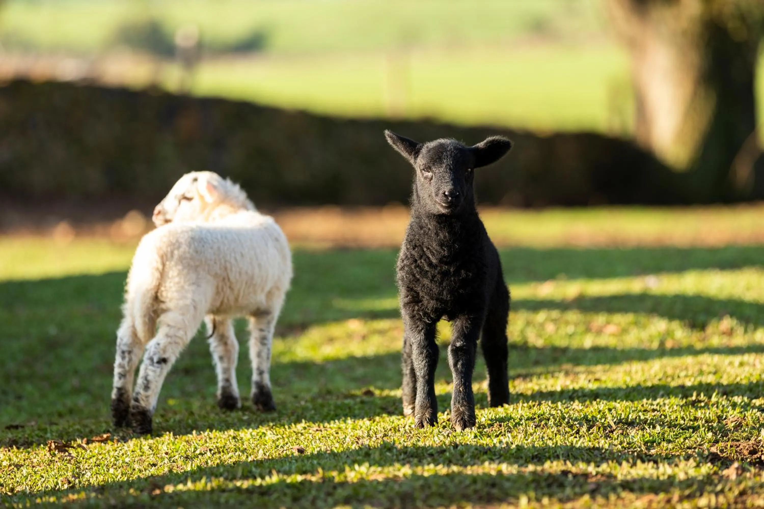 Day in Cerro Azul Hotel Fazenda