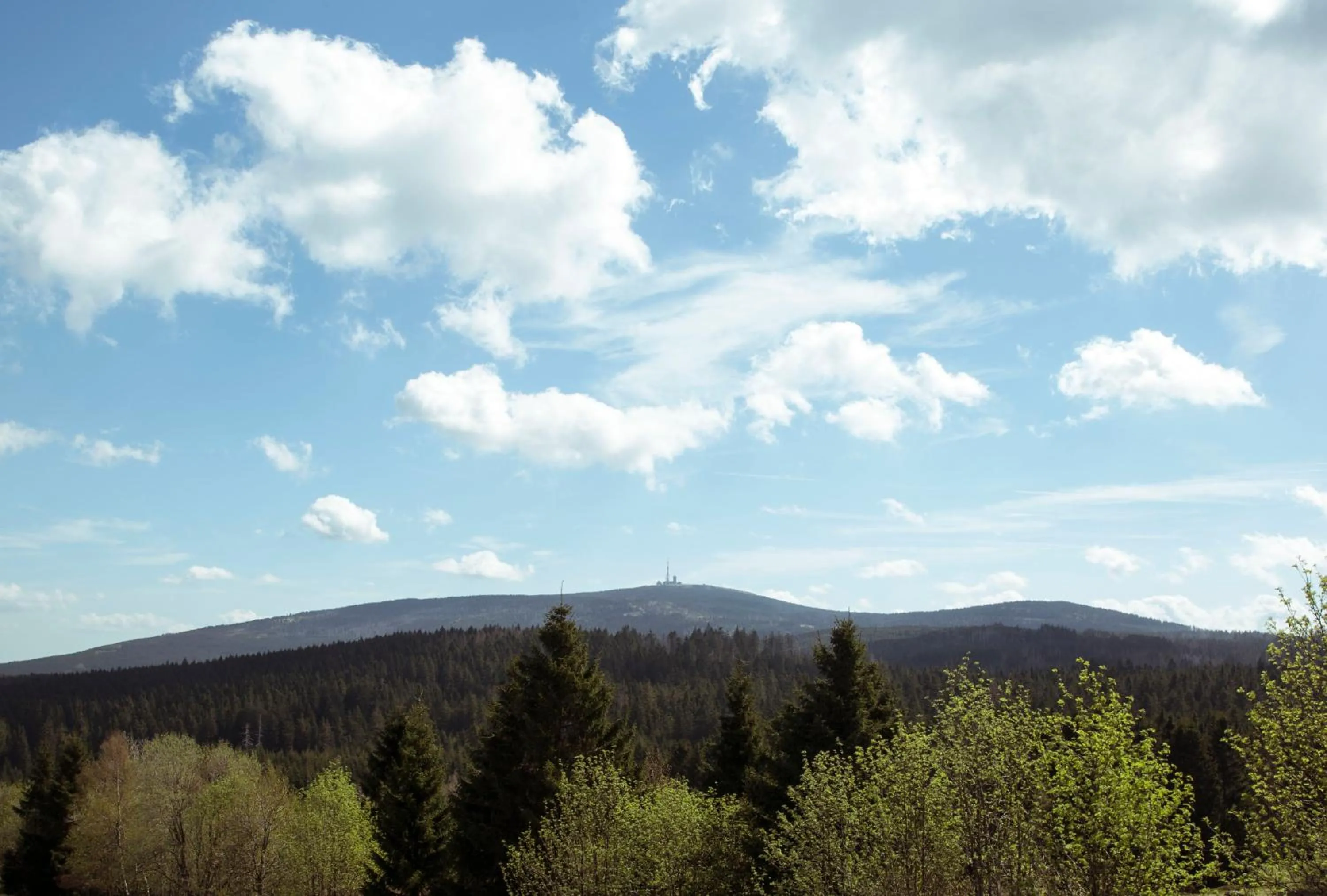 Area and facilities in Landhaus Fischer
