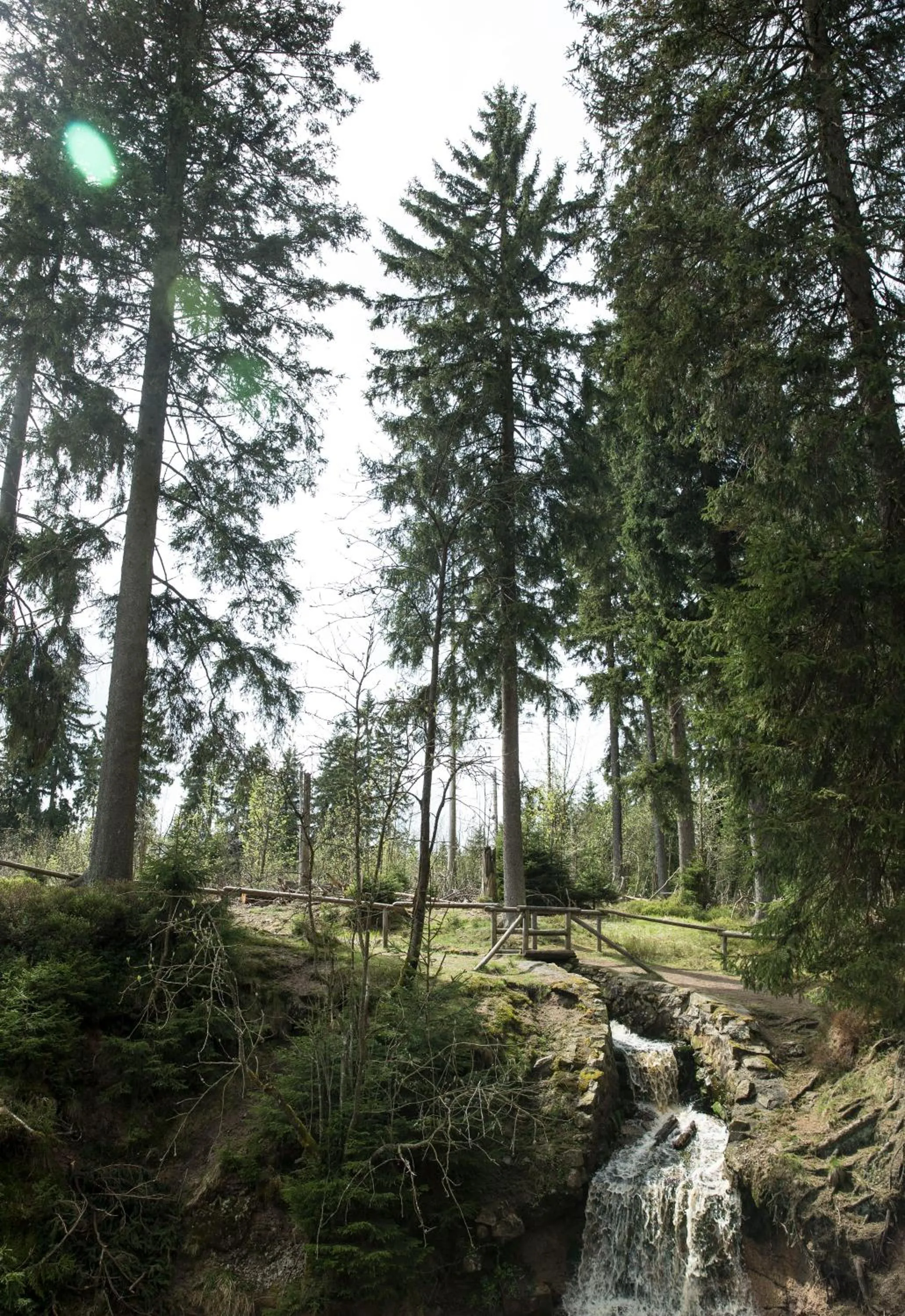 Natural landscape in Landhaus Fischer