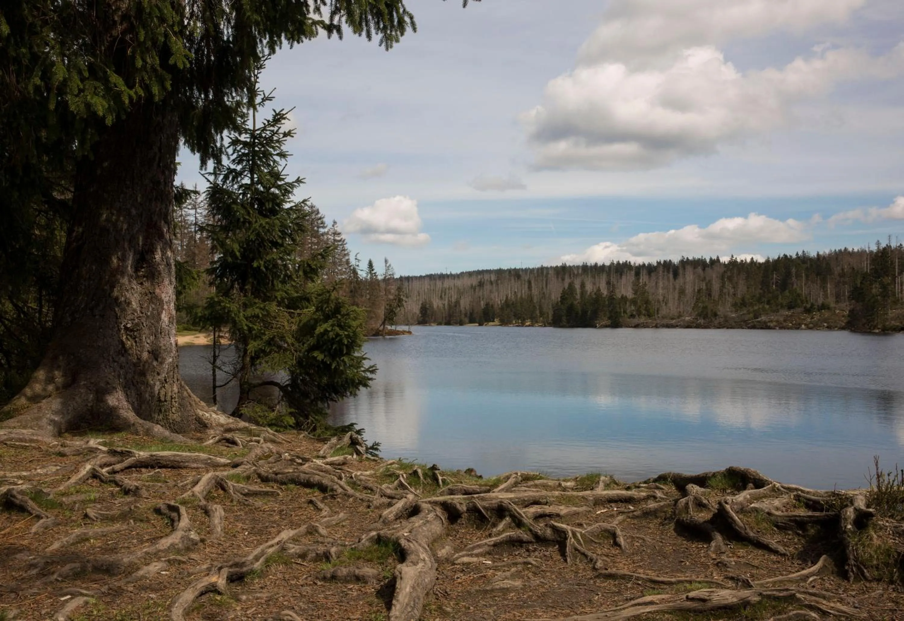 Nearby landmark in Landhaus Fischer