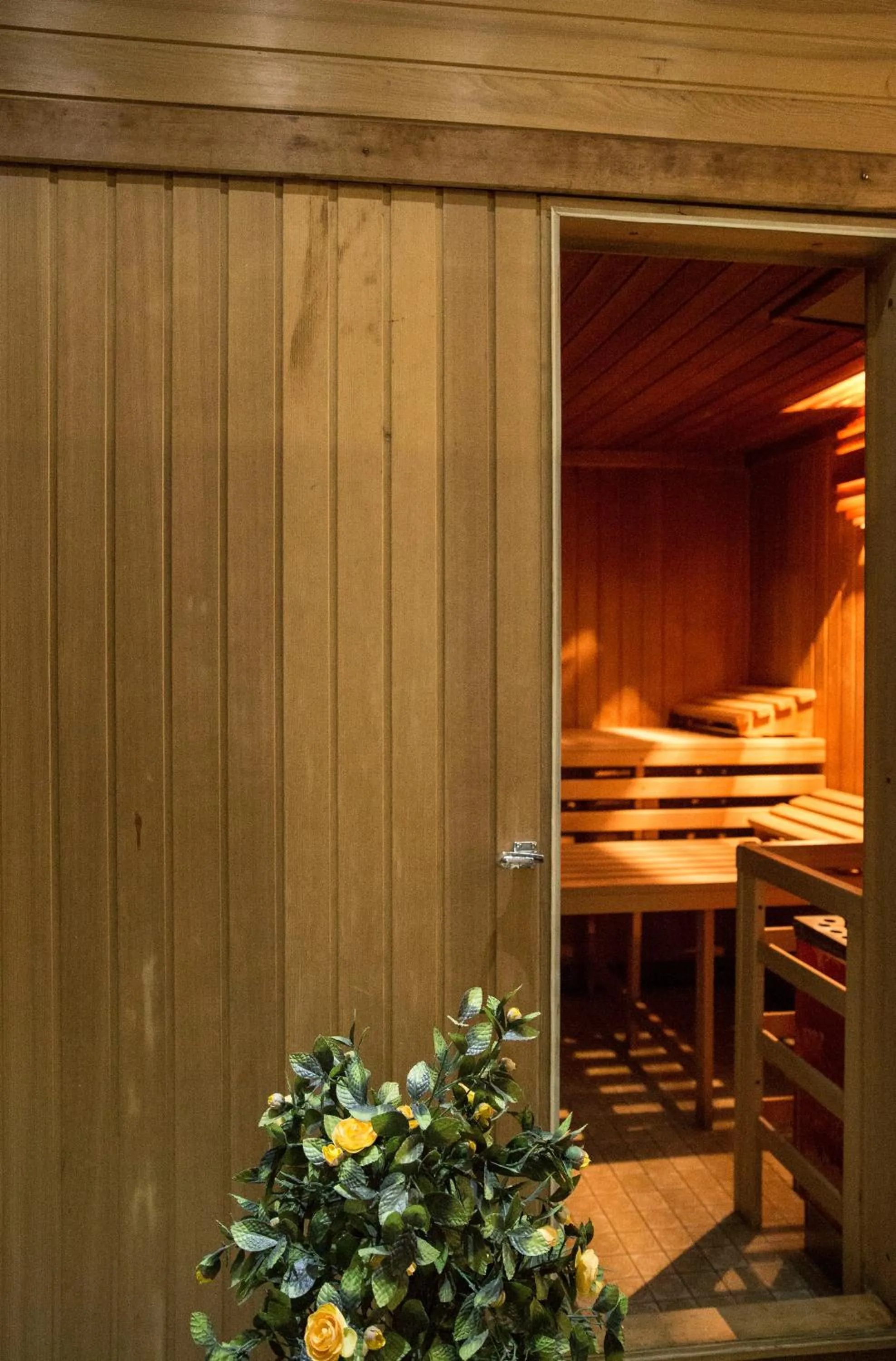 Area and facilities in Landhaus Fischer