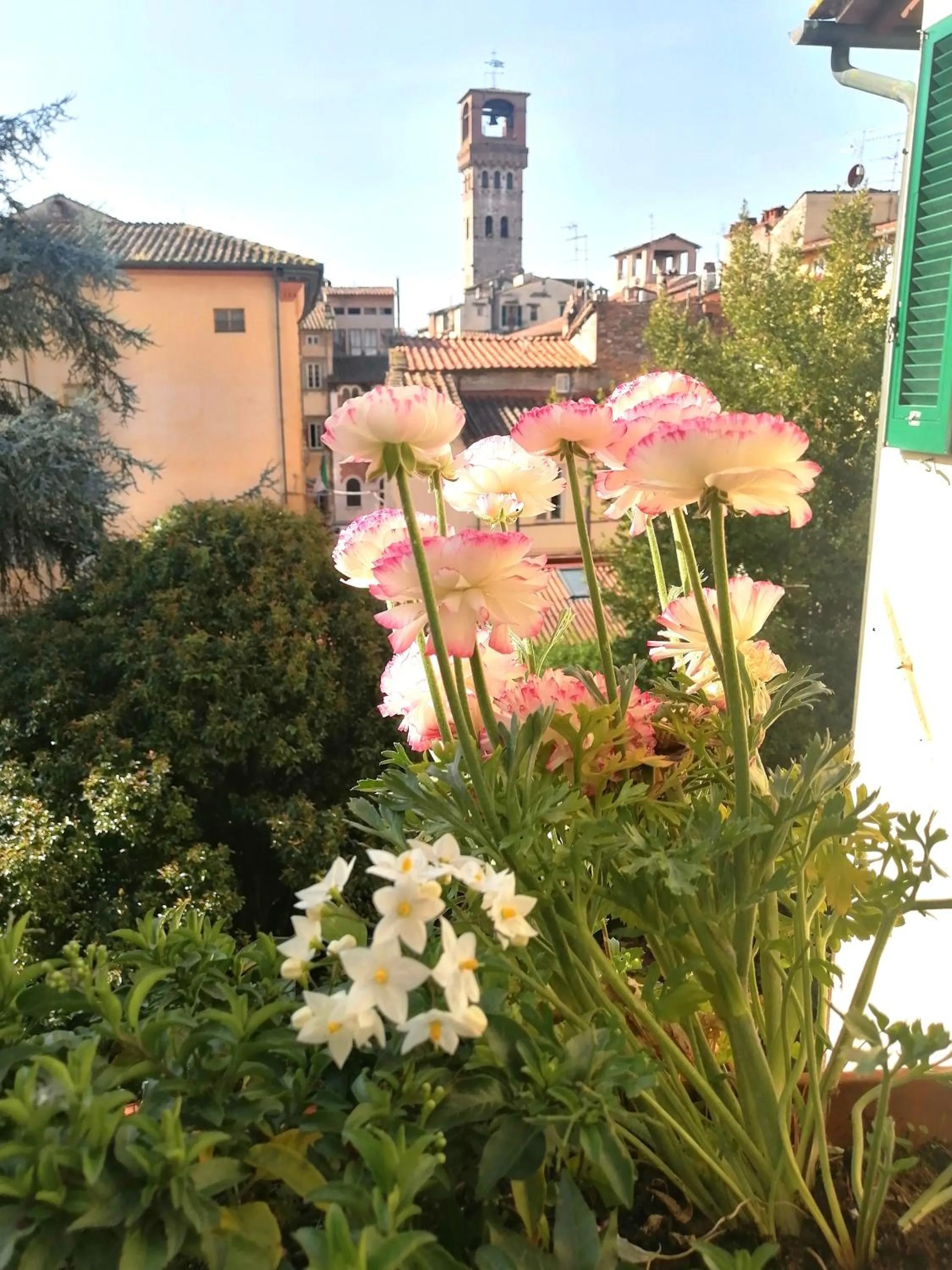 Bed and Breakfast Evelina
