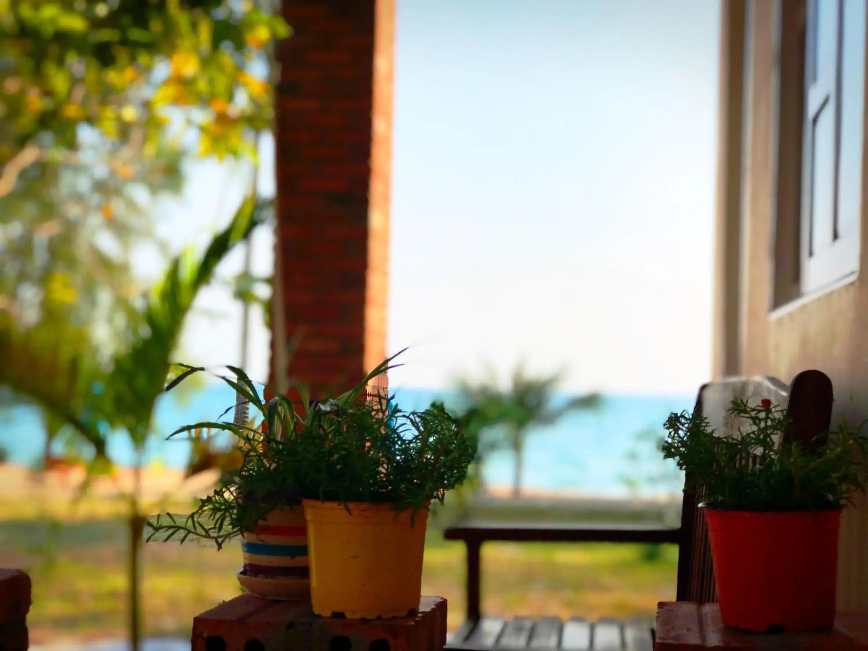 Garden view in Vung Bau Resort Garden view in Vung Bau Resort