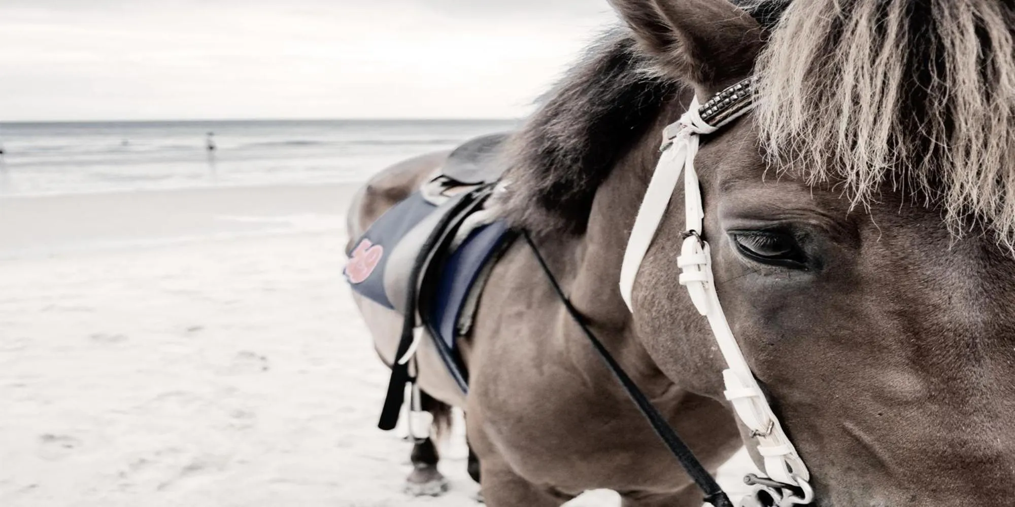 Beach in Hub Hua Hin 57