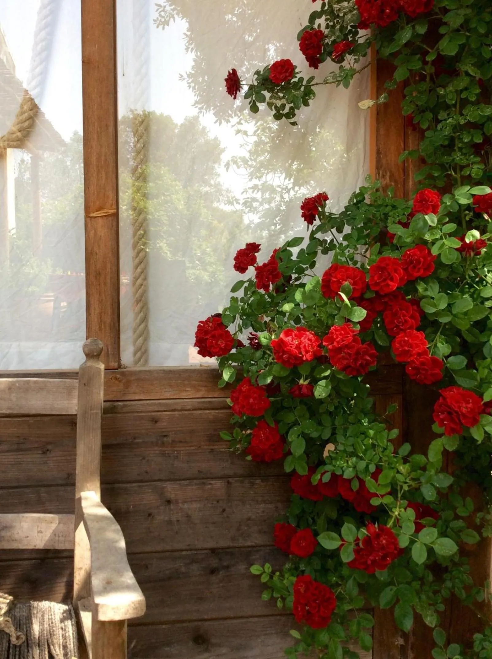 At Home In Maremma