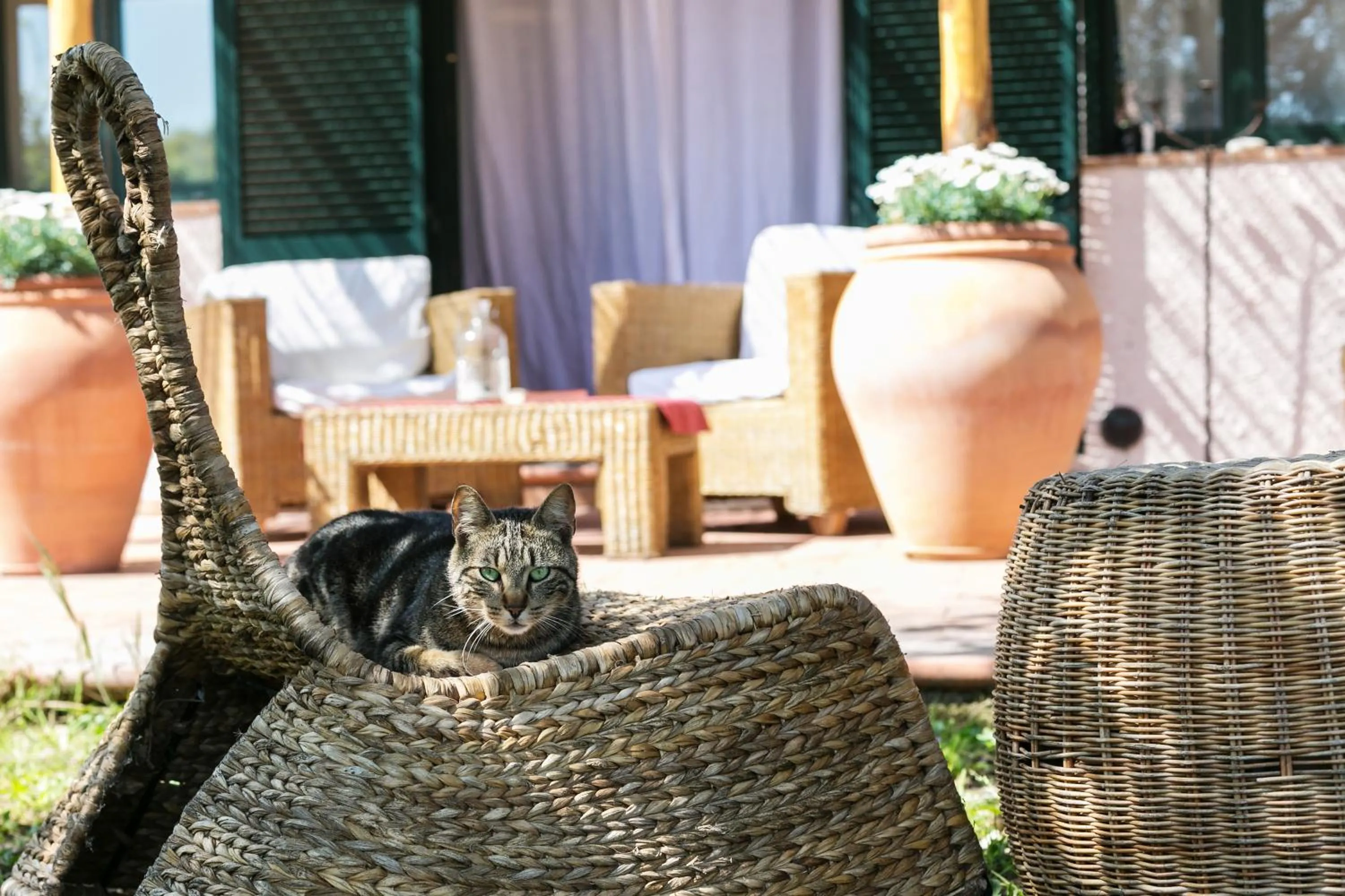At Home In Maremma