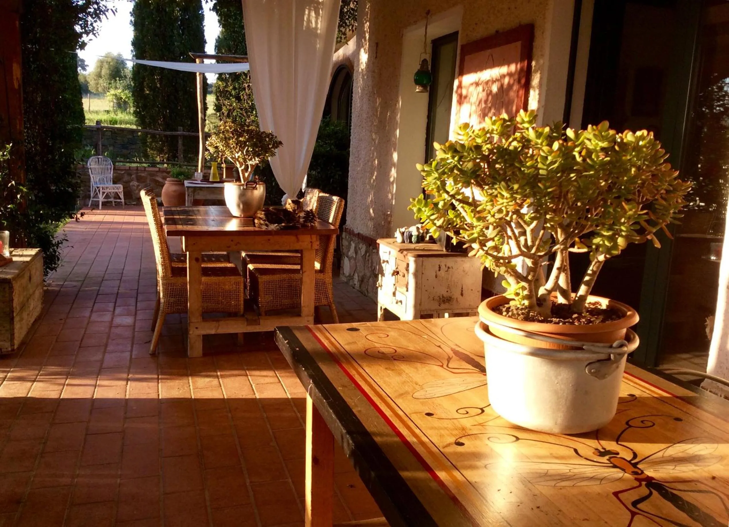 Patio in At Home In Maremma