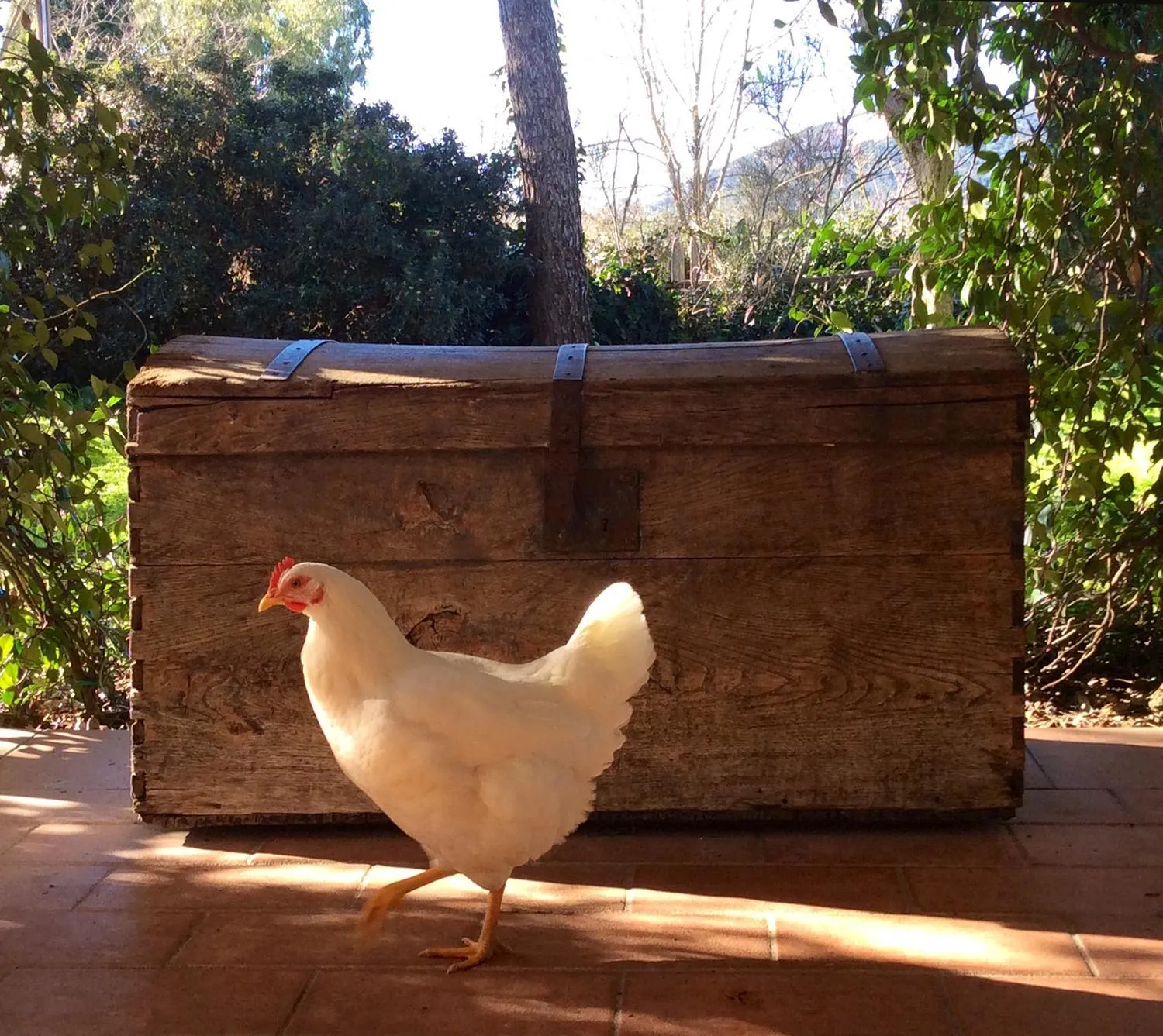At Home In Maremma