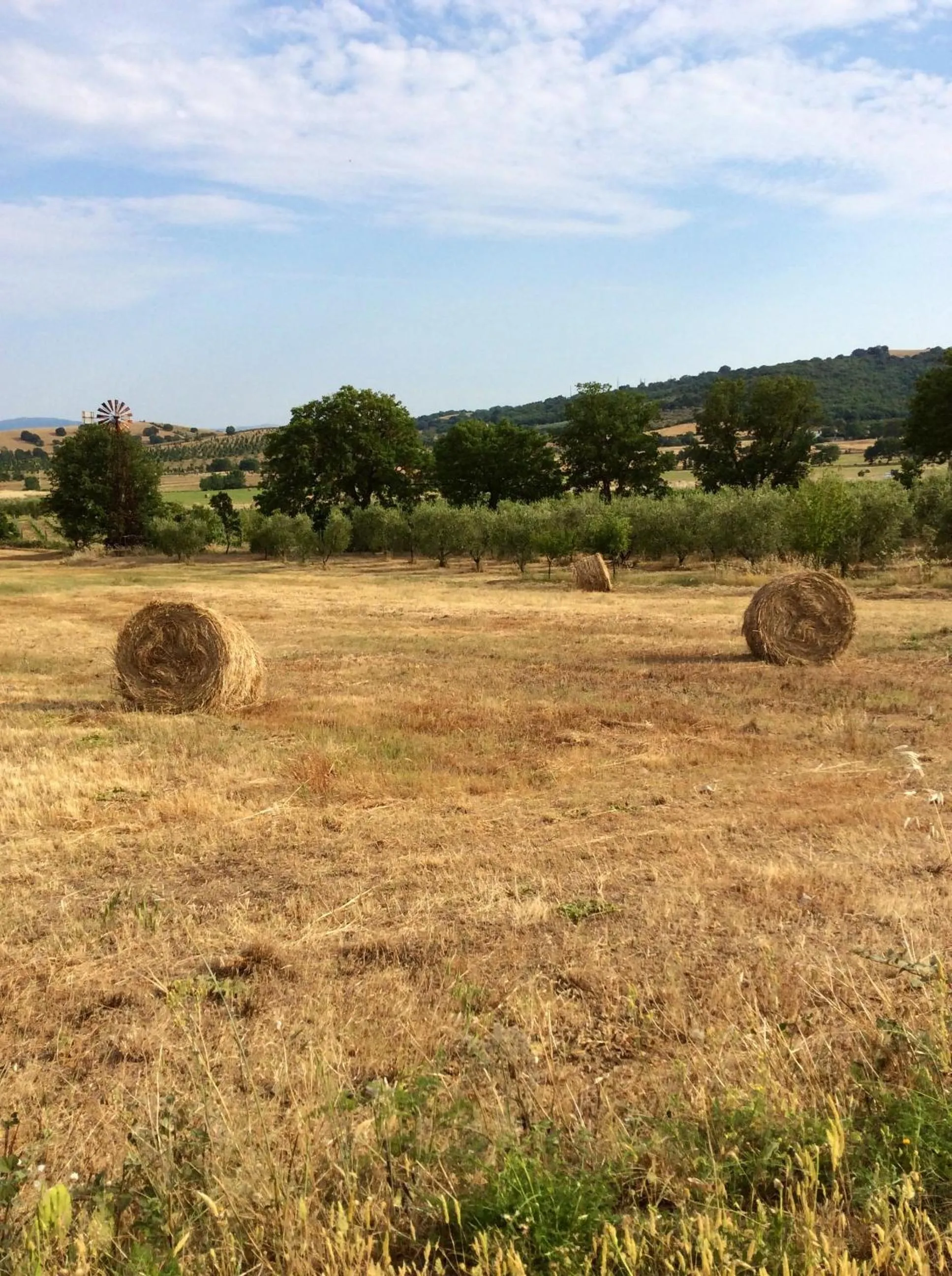 At Home In Maremma