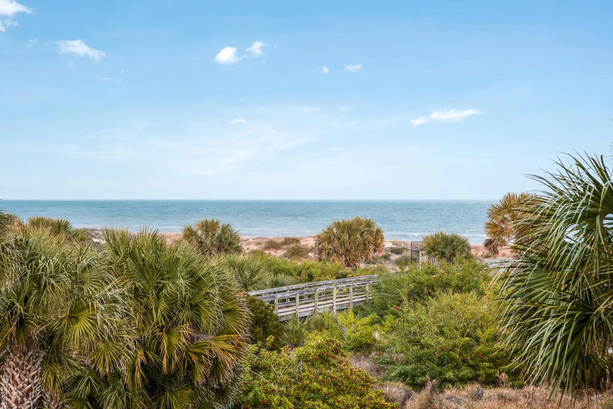 Property building in Ocean Village Club O35