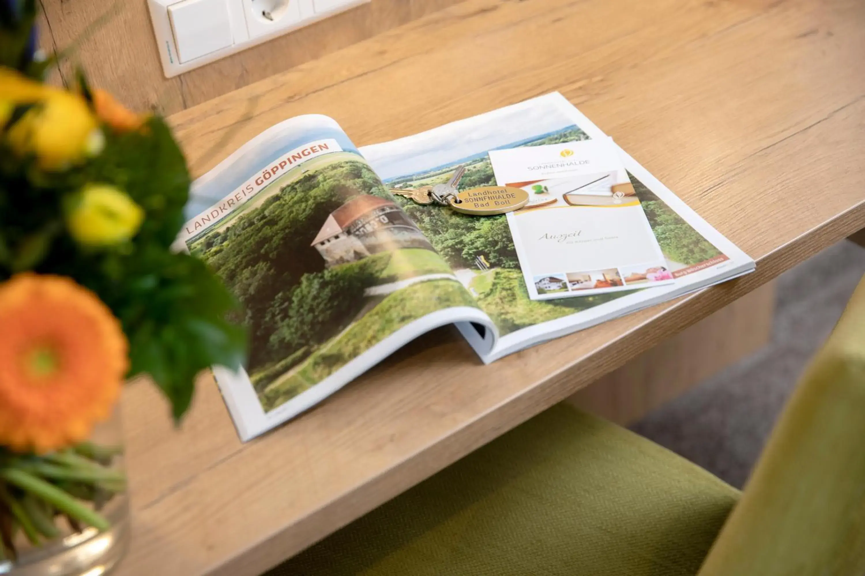 Single Room in Landhotel Sonnenhalde Single Room in Landhotel Sonnenhalde