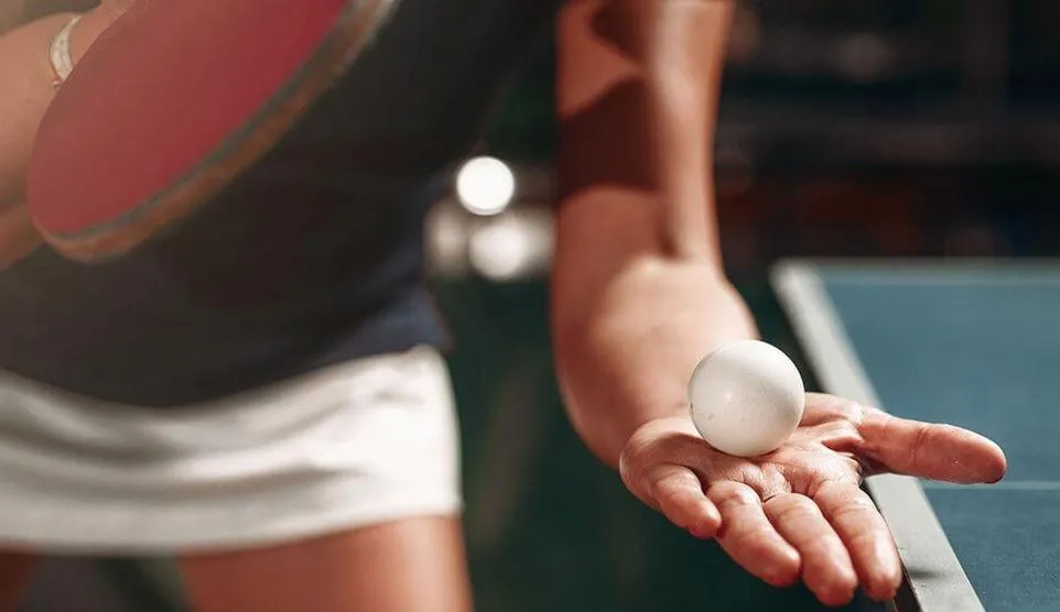 Table tennis in Hotel Sportwelt Radeberg