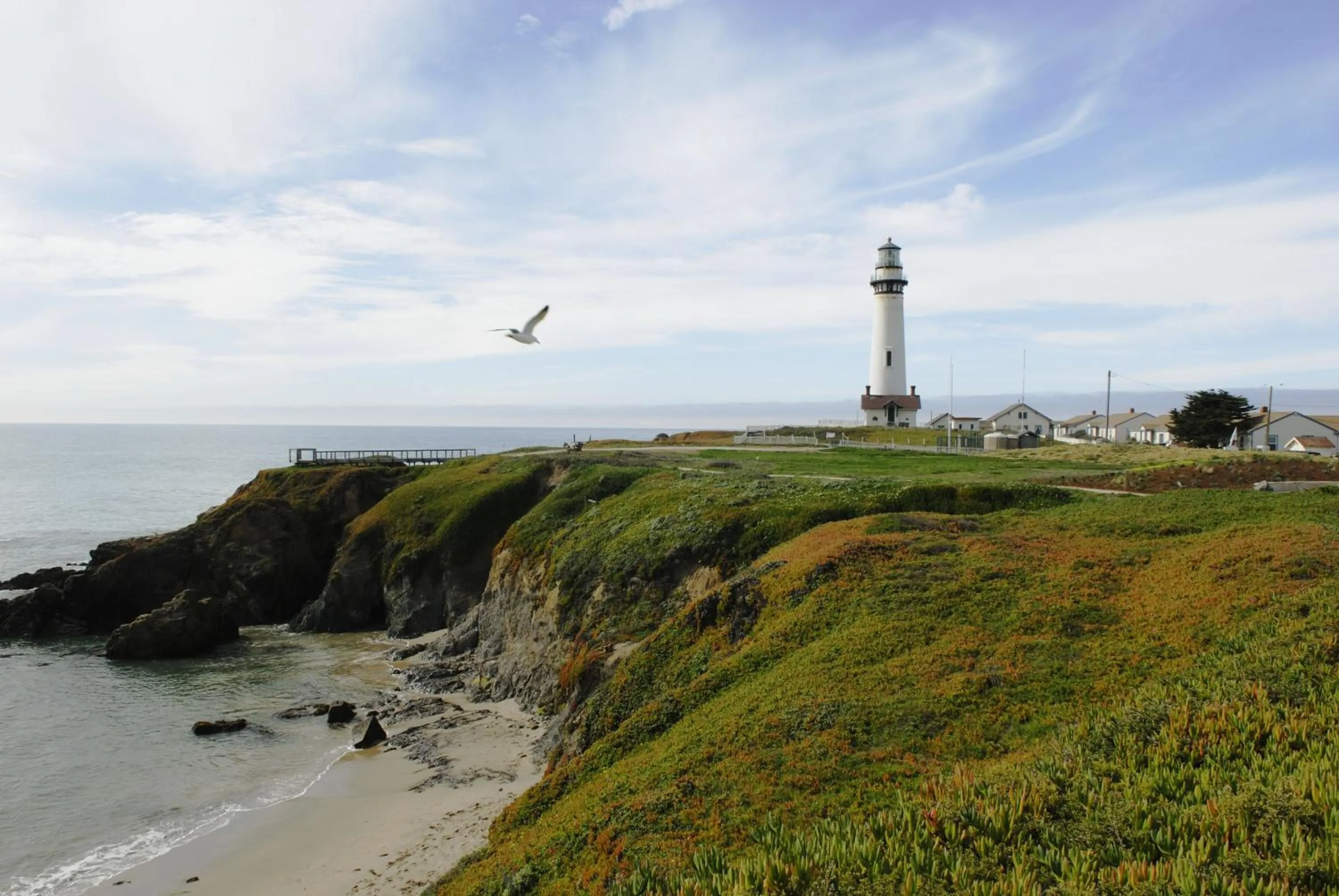 View (from property/room) in HI Pigeon Point Lighthouse Hostel