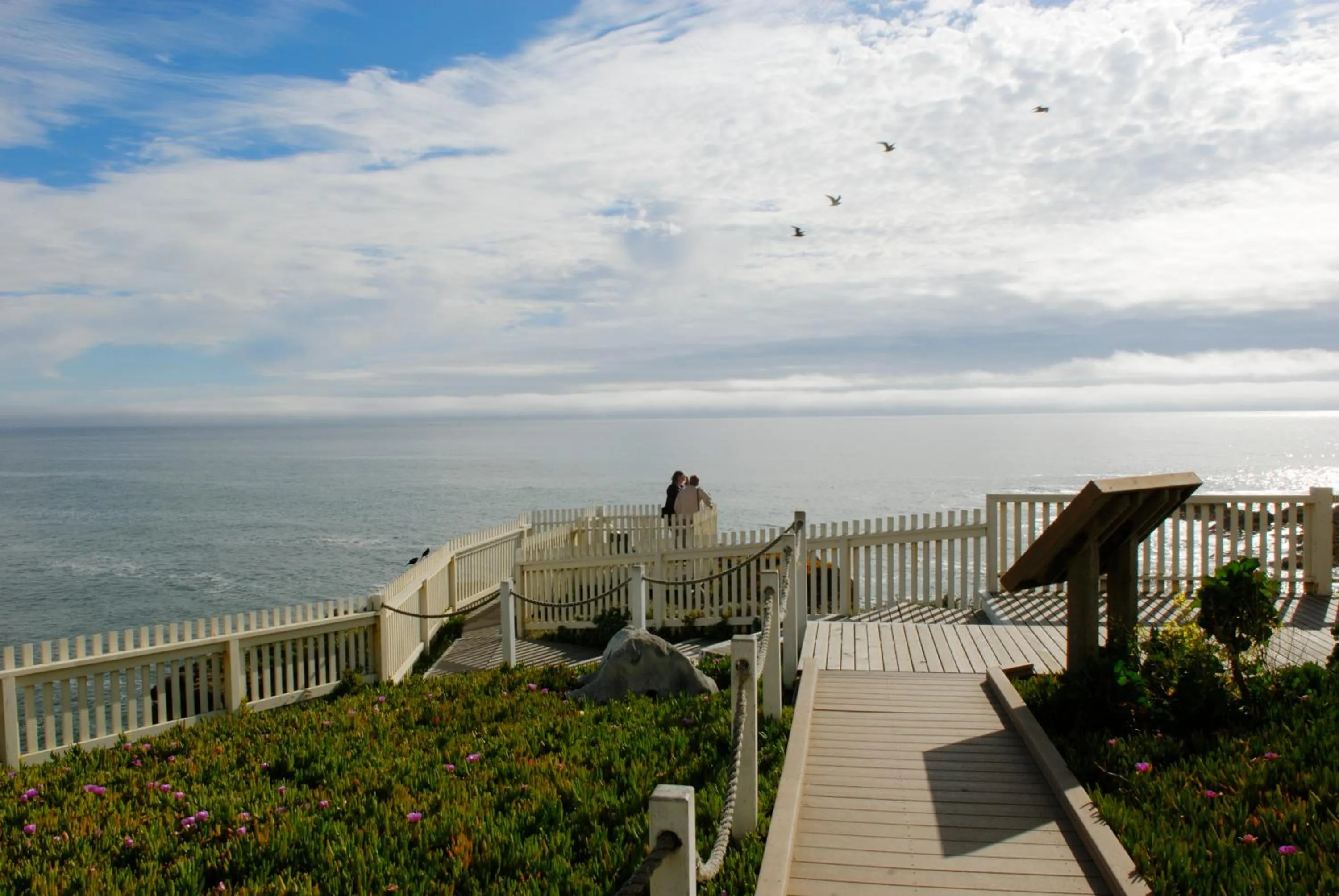 Natural landscape in HI Pigeon Point Lighthouse Hostel