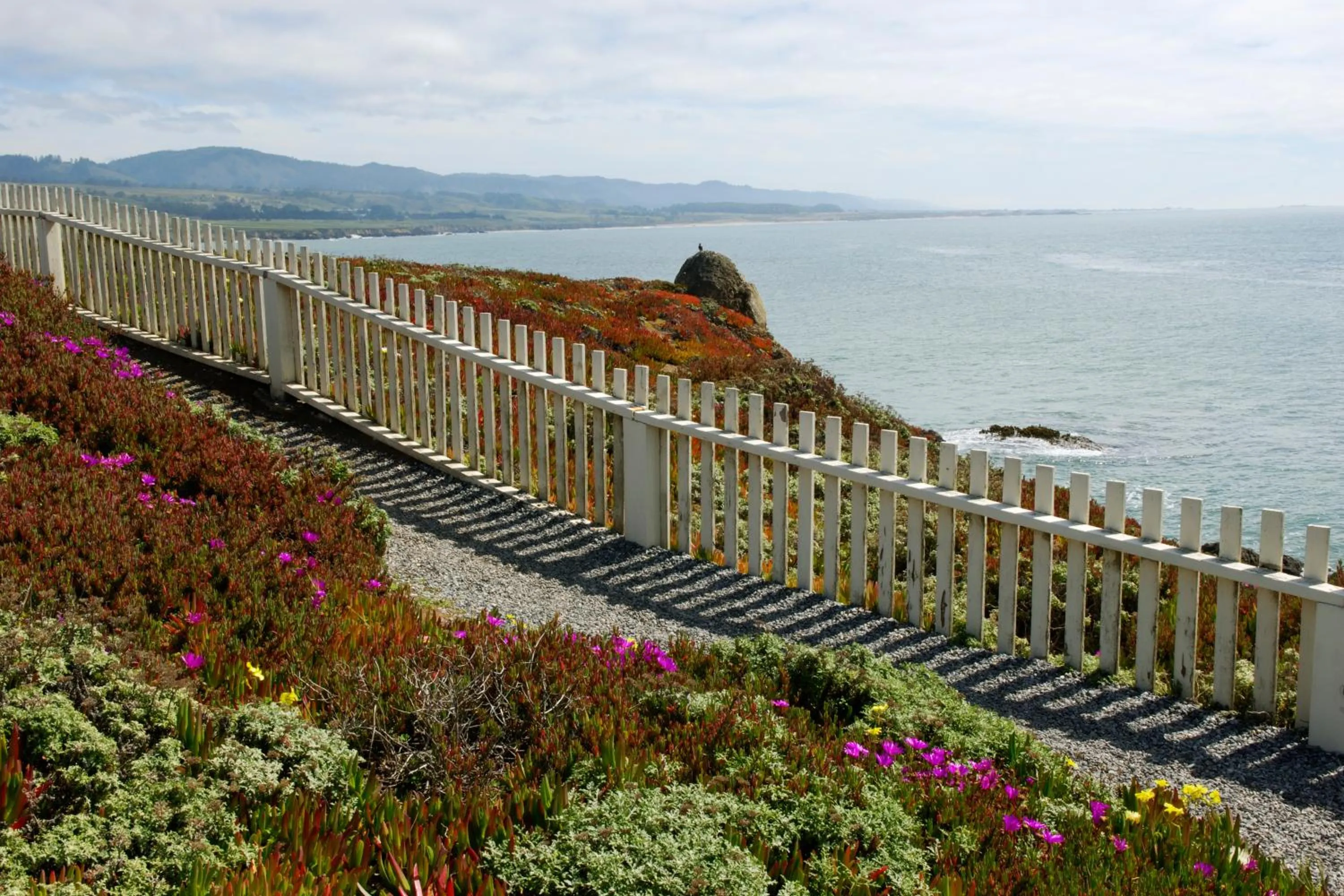 Natural landscape in HI Pigeon Point Lighthouse Hostel