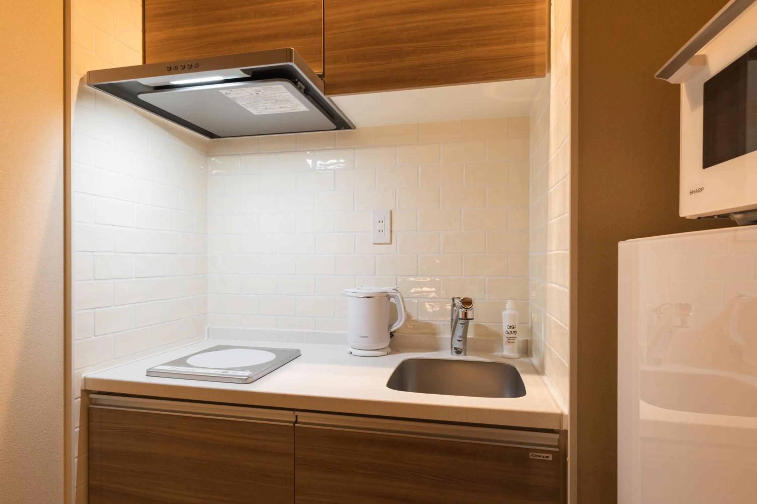 Photo of the whole room in GRAND BASE Saiwaimachi