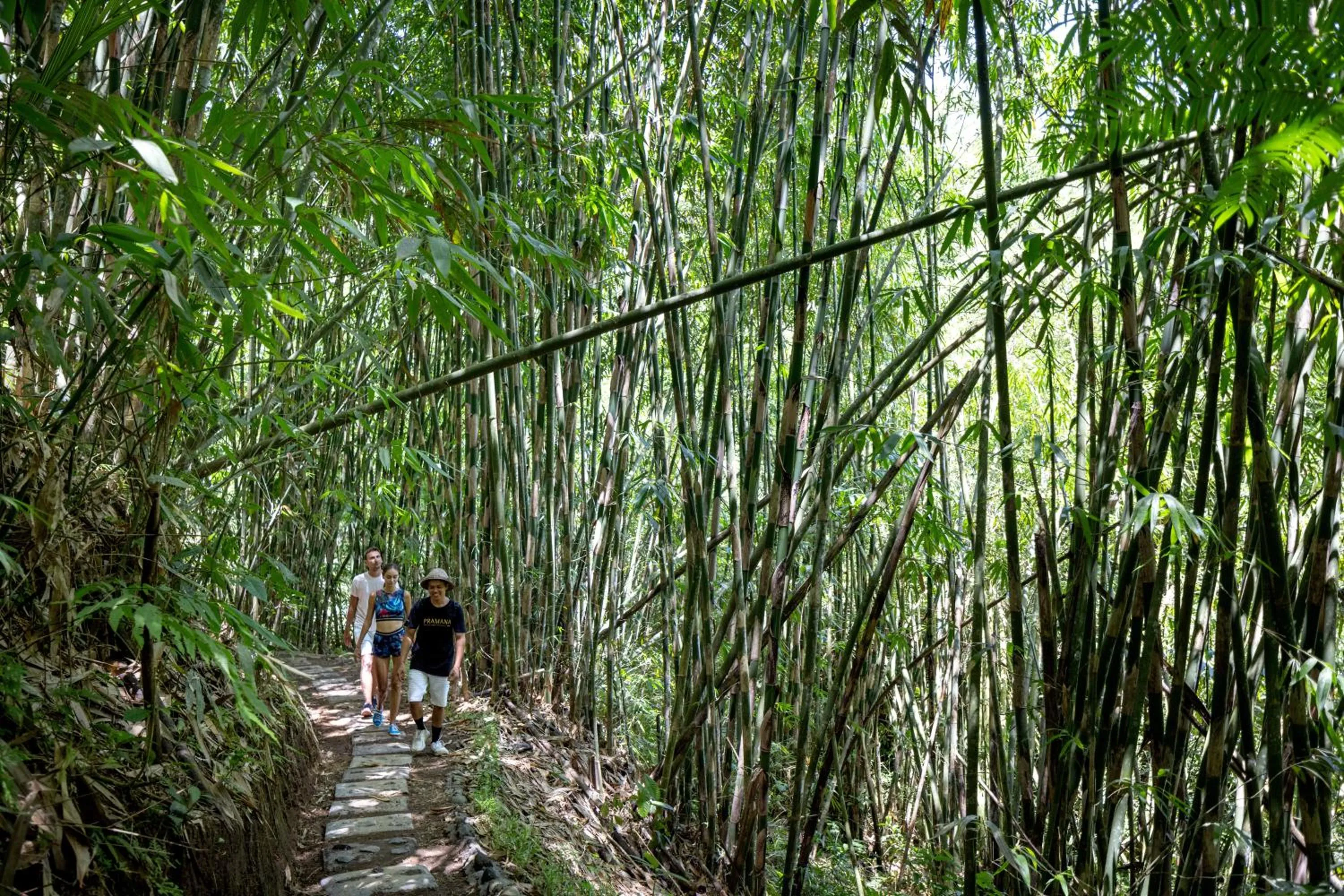 Activities in Sacred Valley by GenuineHost