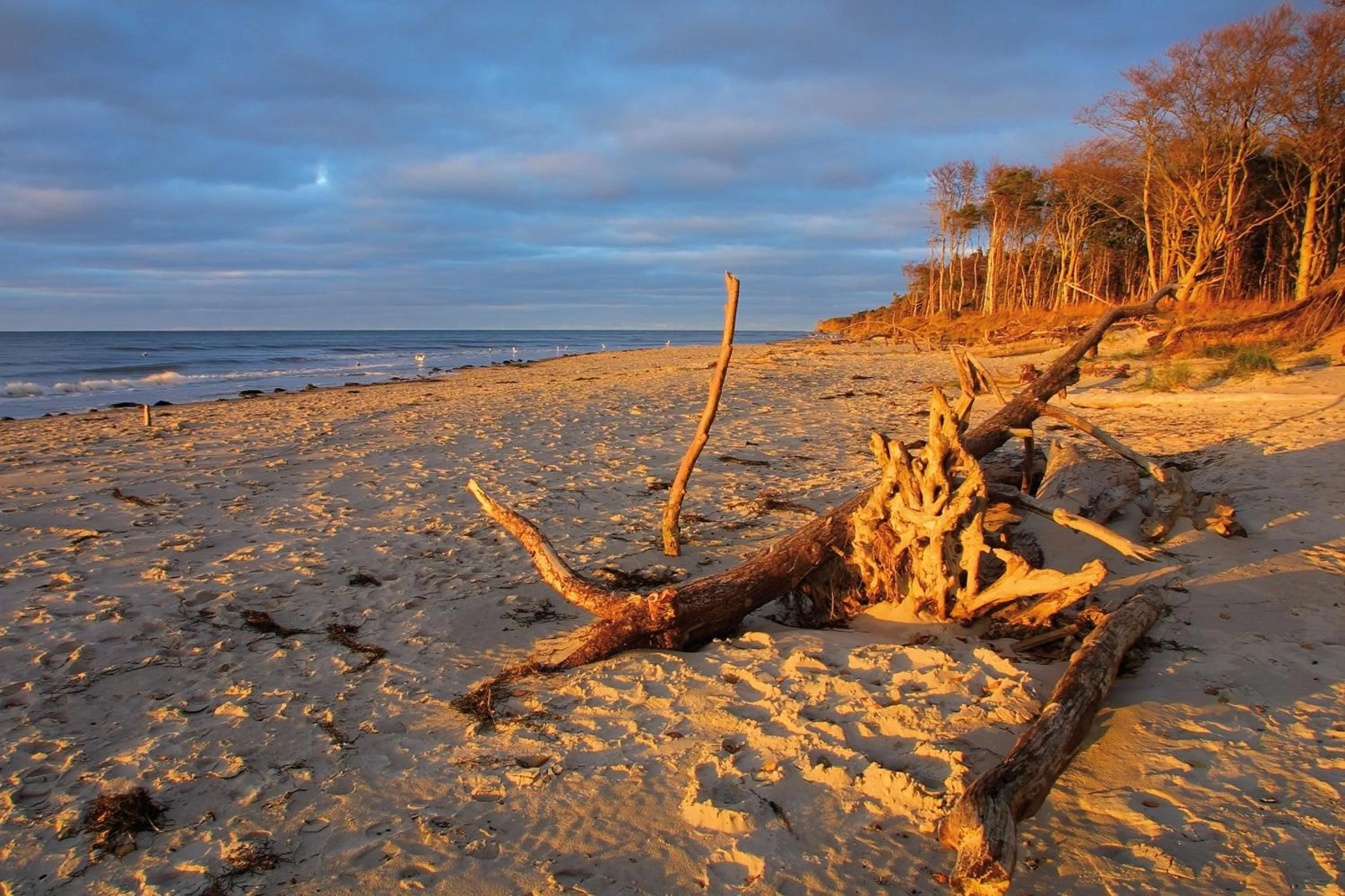 Natural landscape in Ferienwohnungen Dünenmeer