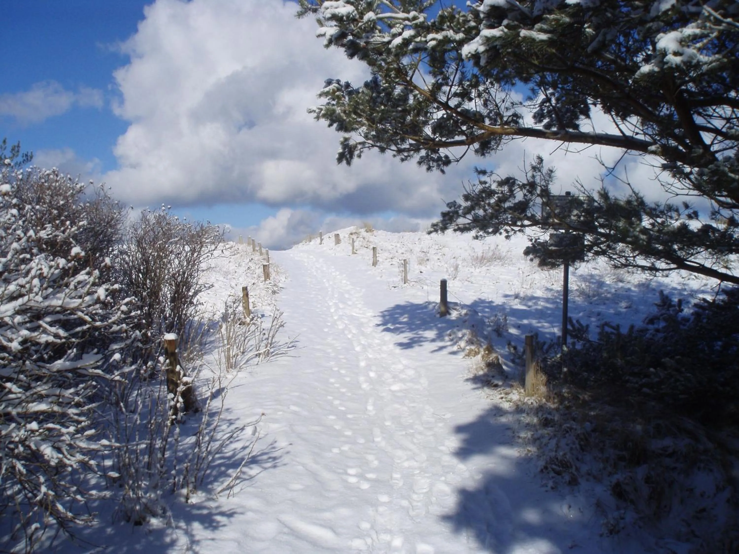 Natural landscape in Ferienwohnungen Dünenmeer
