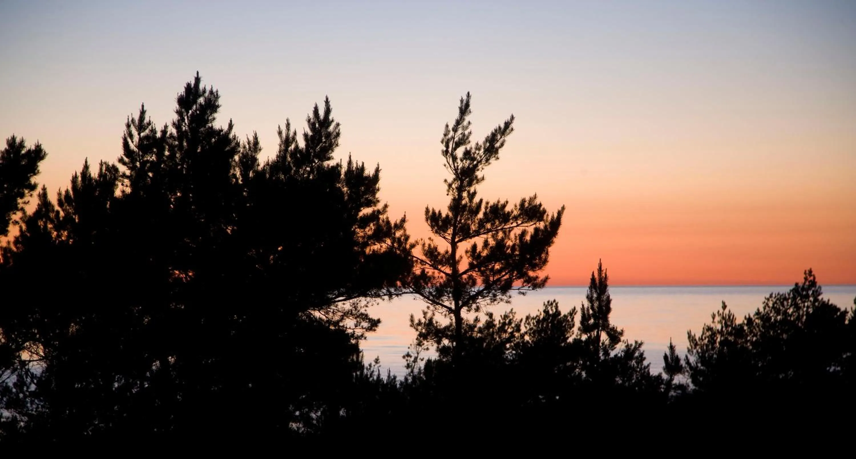 Natural landscape in Ferienwohnungen Fischland