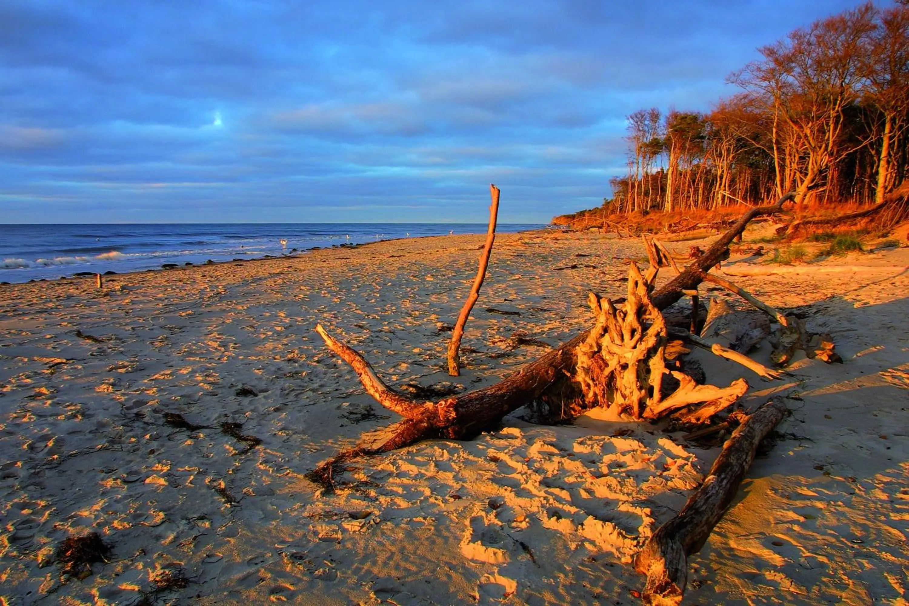Natural landscape in Ferienwohnungen Fischland