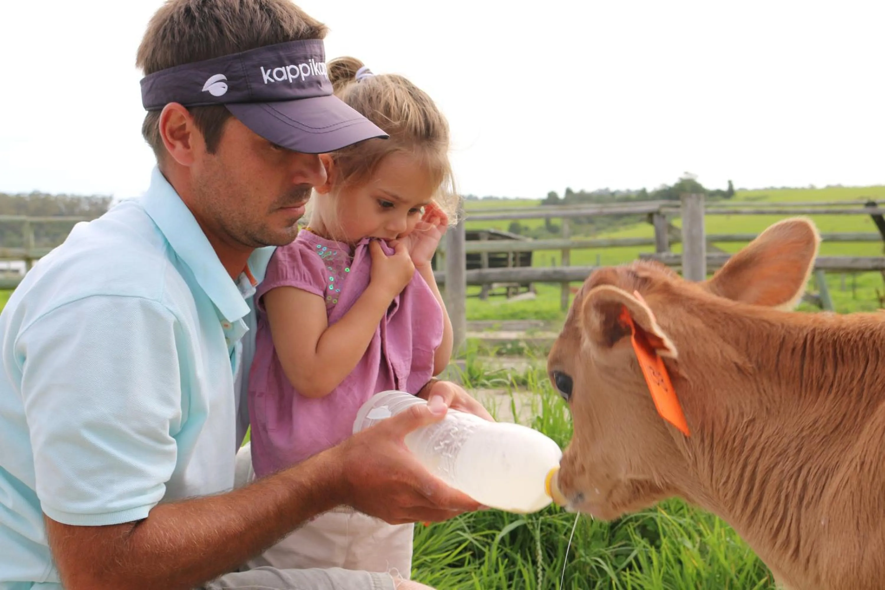 Animals in Libertas Guest Farm