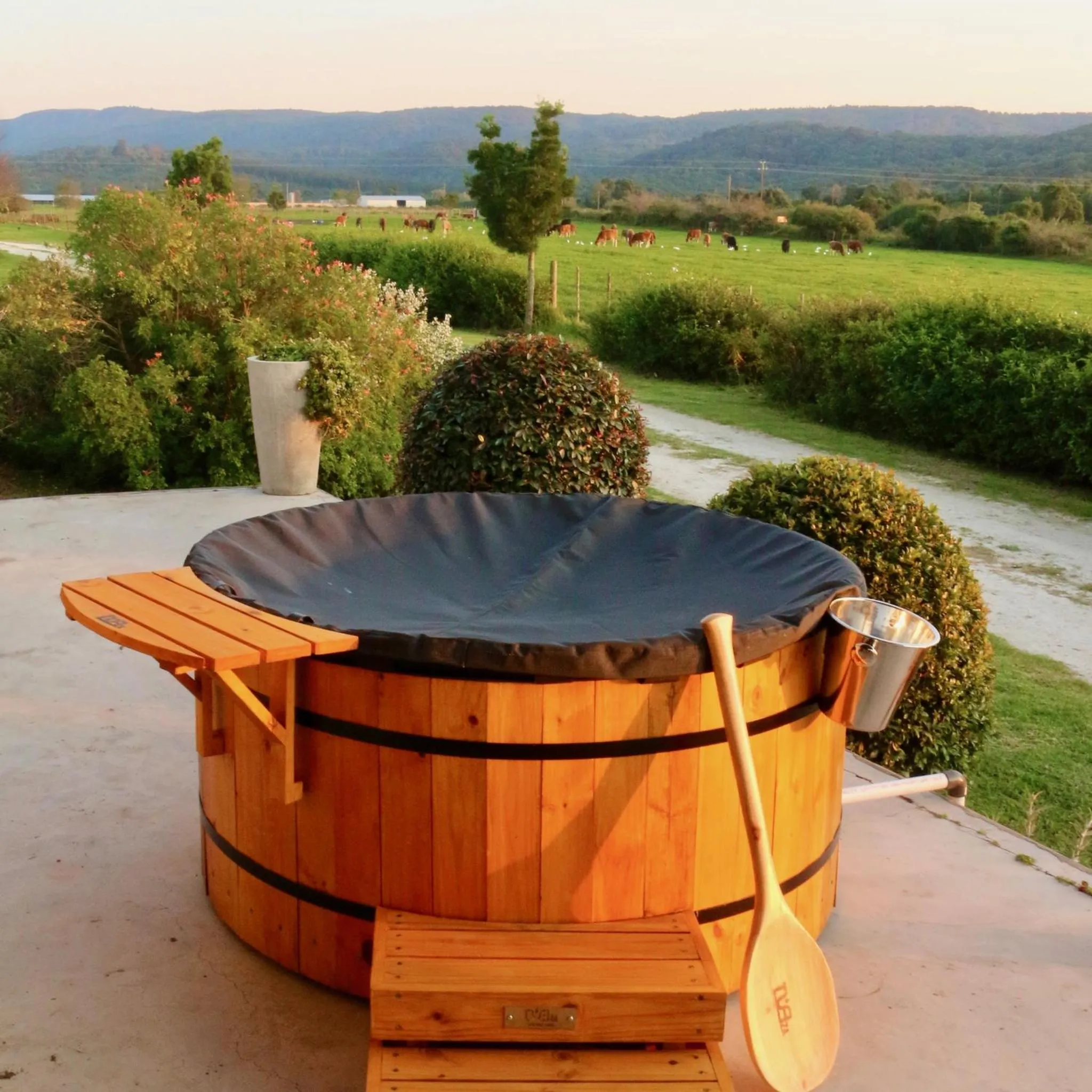 Mountain view in Libertas Guest Farm