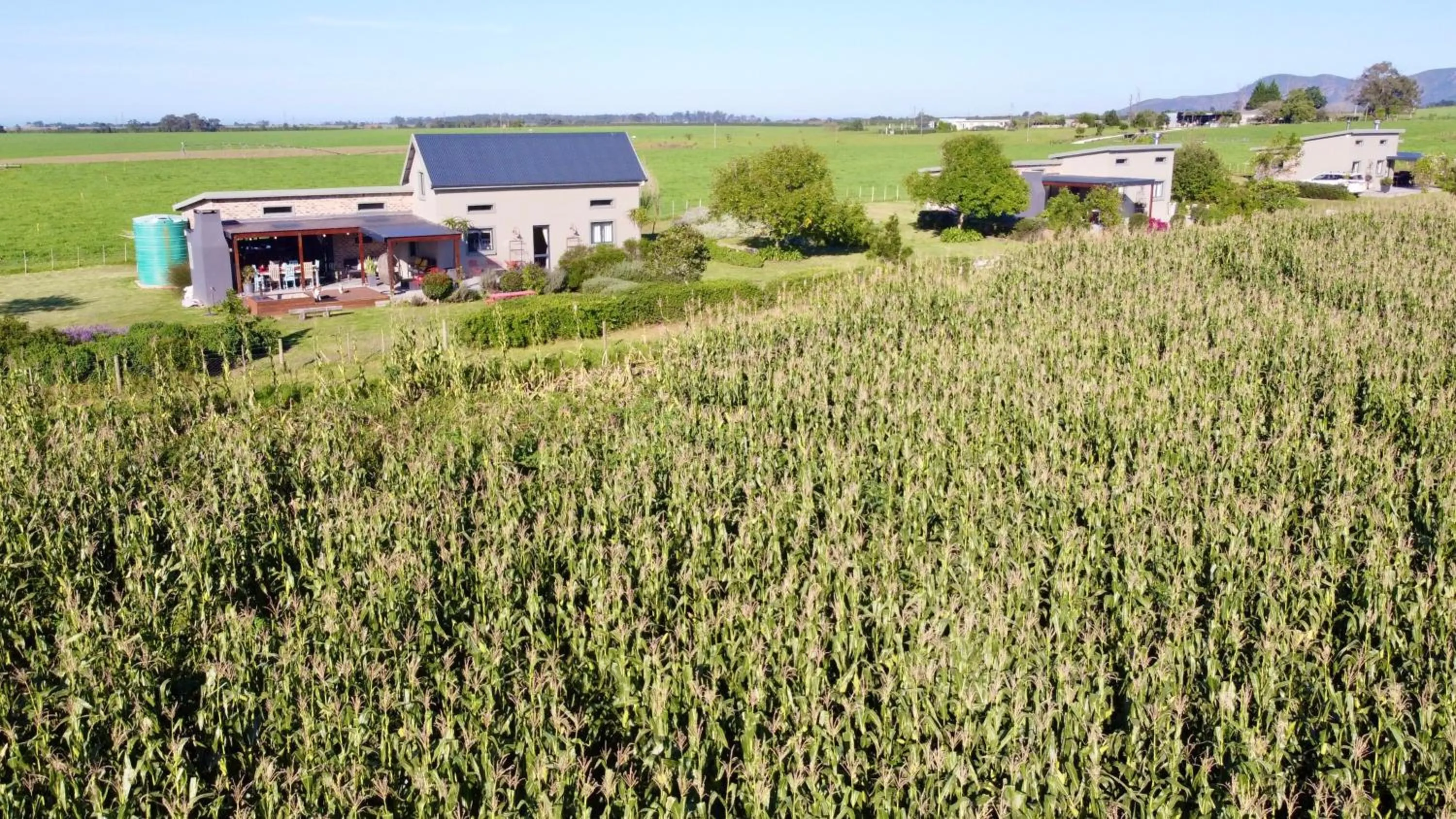 Property building in Libertas Guest Farm