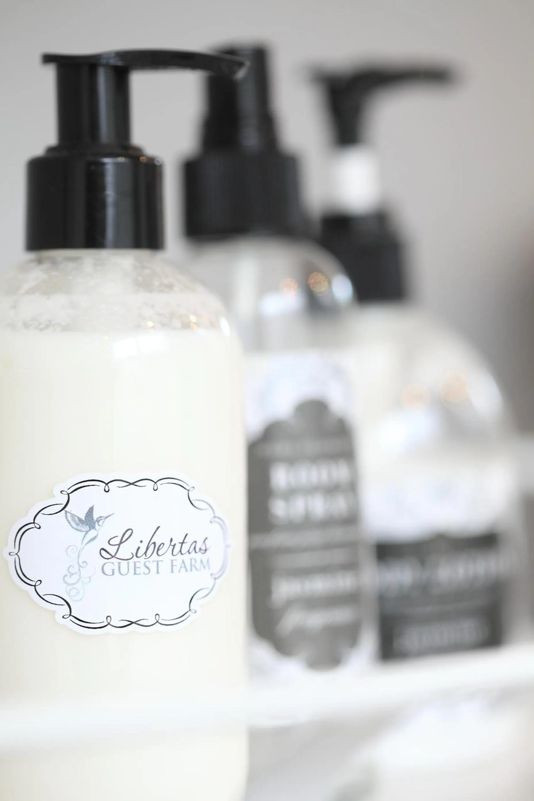 Food and drinks in Libertas Guest Farm