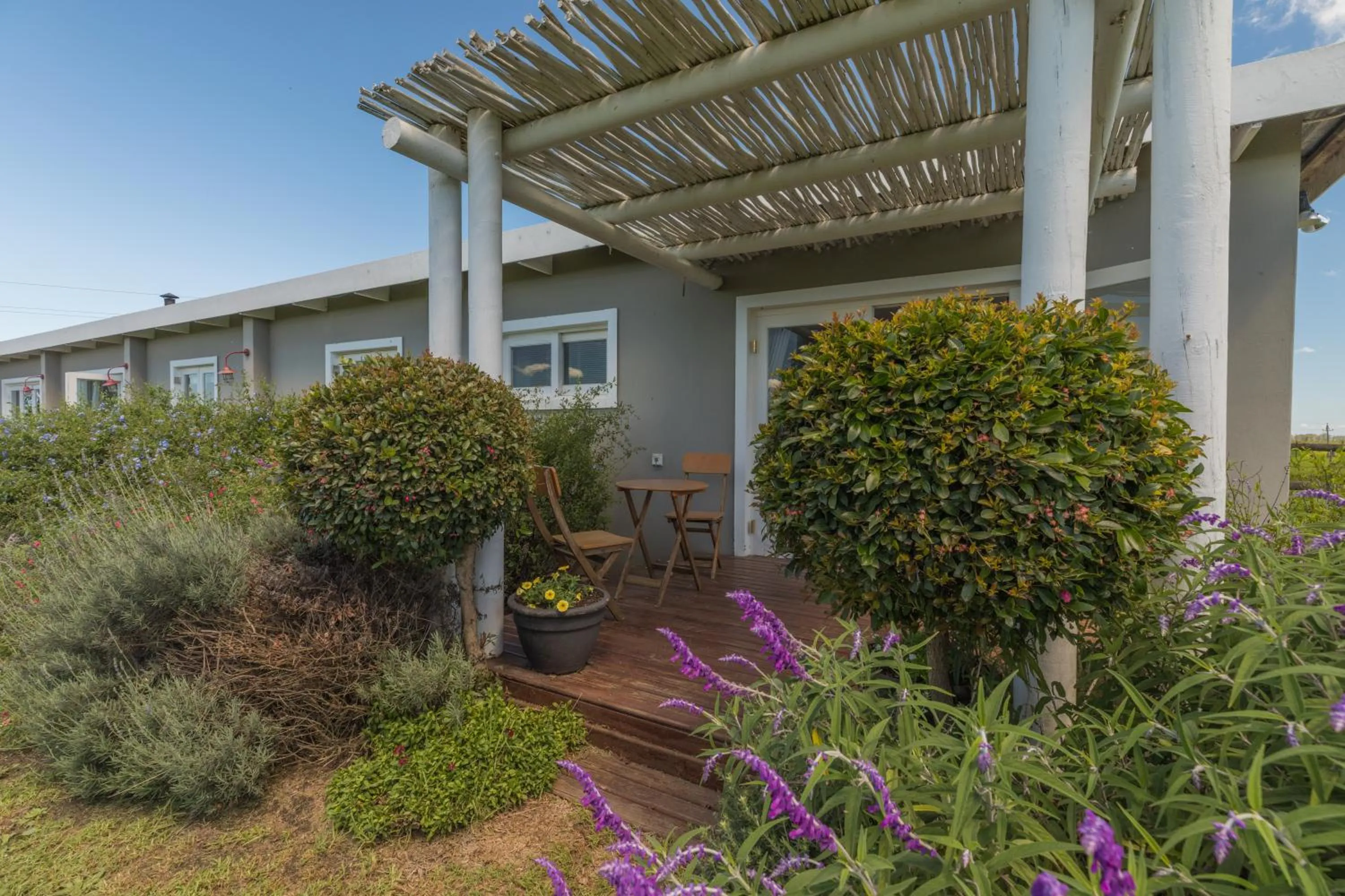 Property building in Libertas Guest Farm