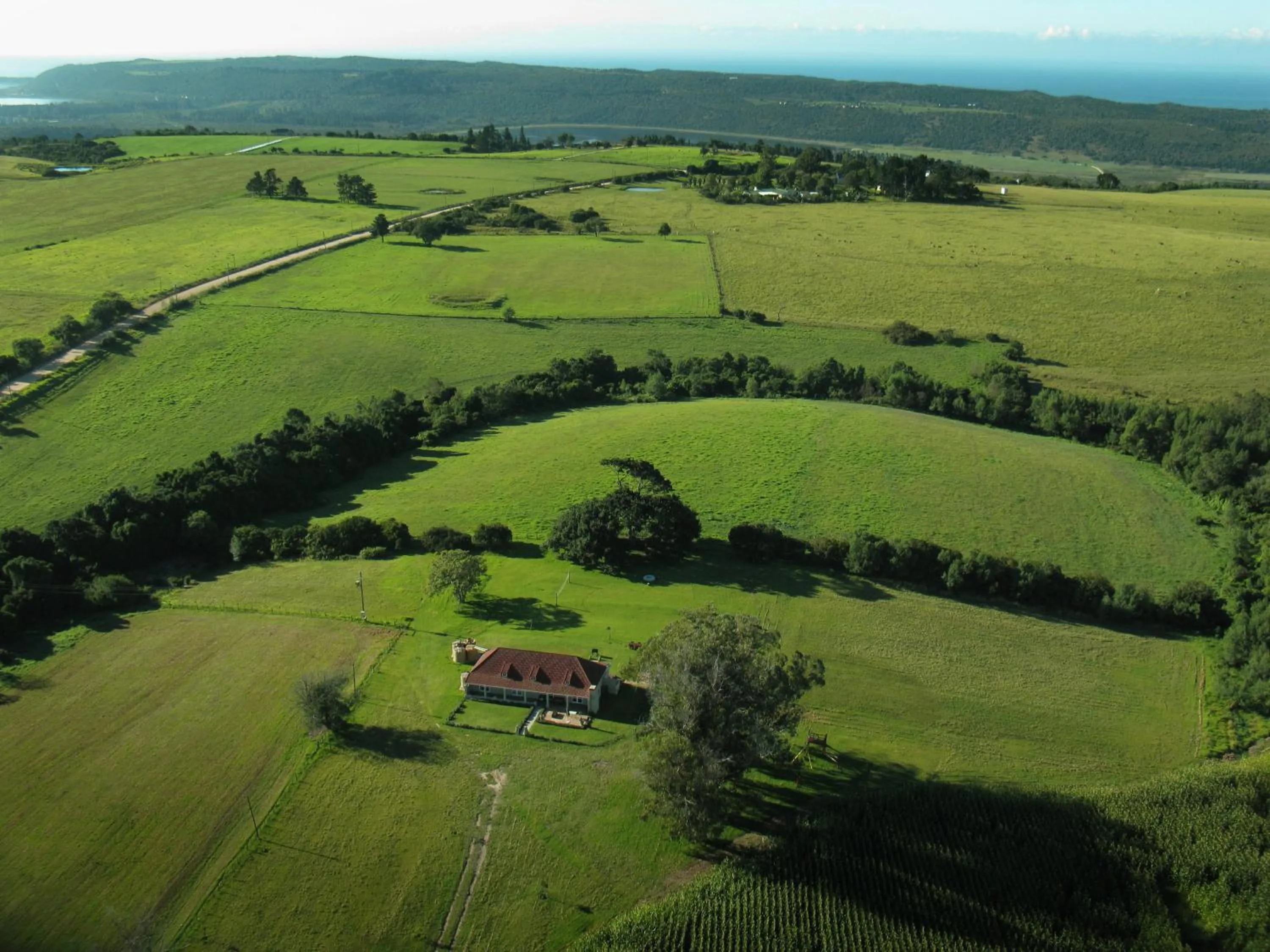 Natural landscape in Libertas Guest Farm