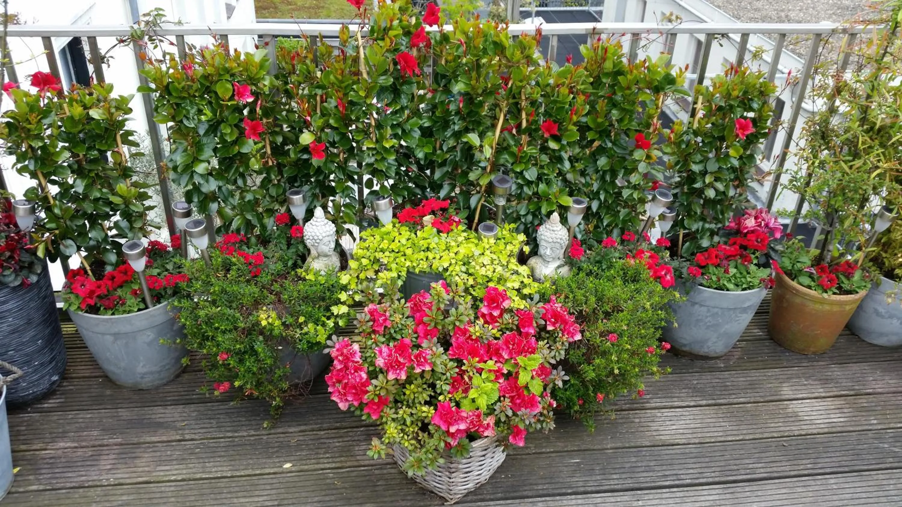 Balcony/Terrace in Prince On The Roof