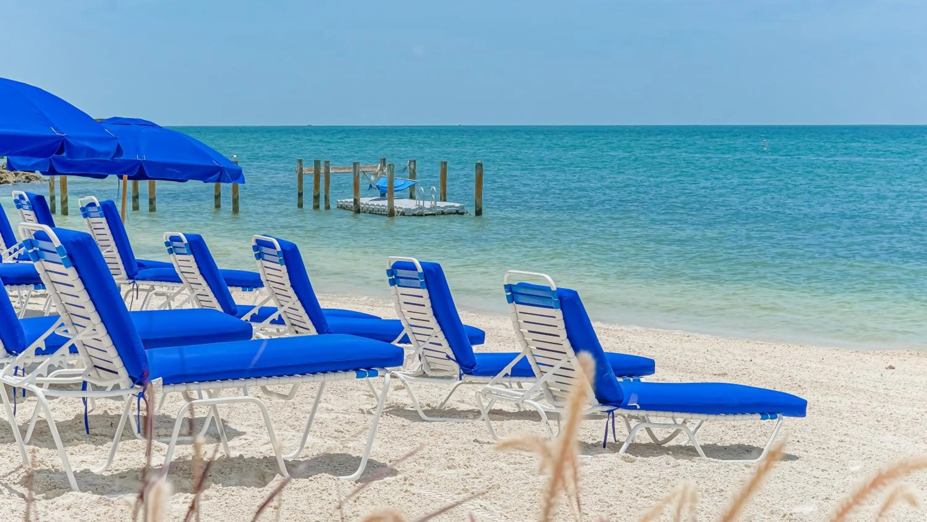 Beach in Glunz Ocean Beach Hotel and Resort